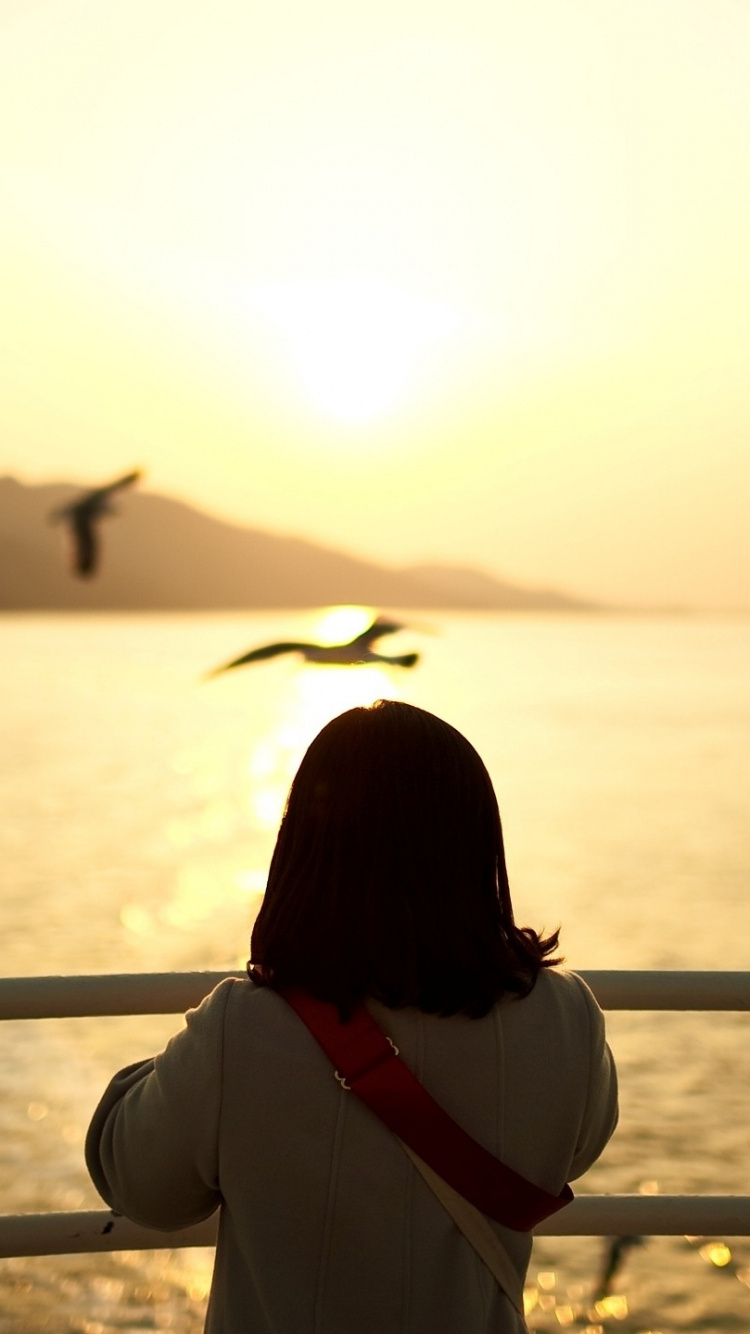 Обои вода, птица, морская птица, закат, утро в разрешении 750x1334