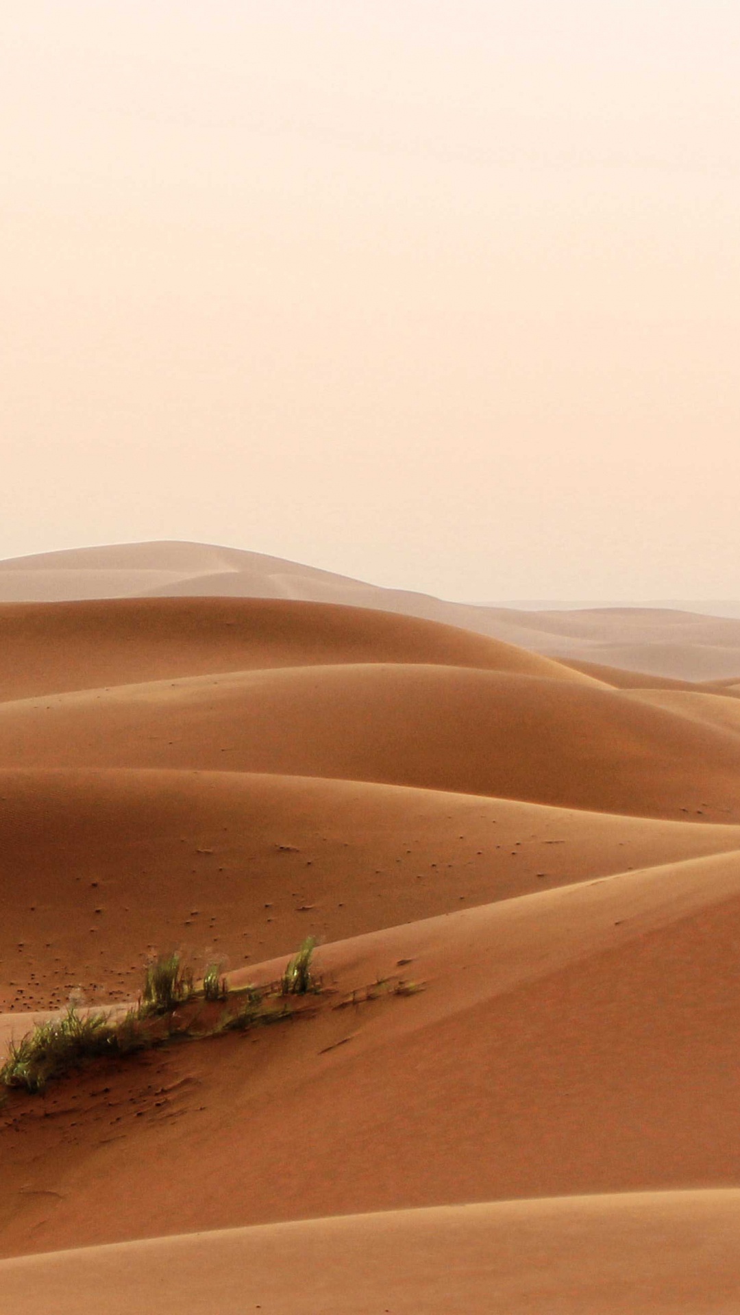 Обои пустыня, песок, эрг, эолийские рельефы, сахара в разрешении 1080x1920