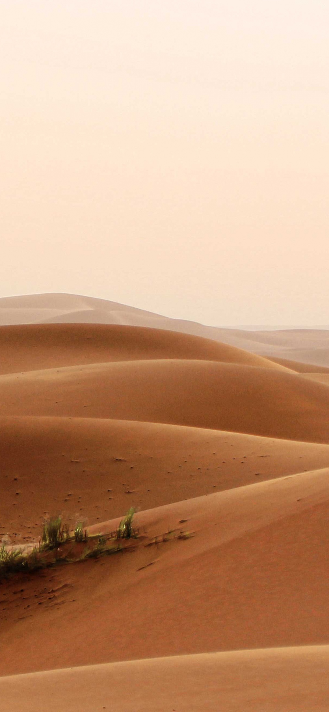 Обои пустыня, песок, эрг, эолийские рельефы, сахара в разрешении 1125x2436