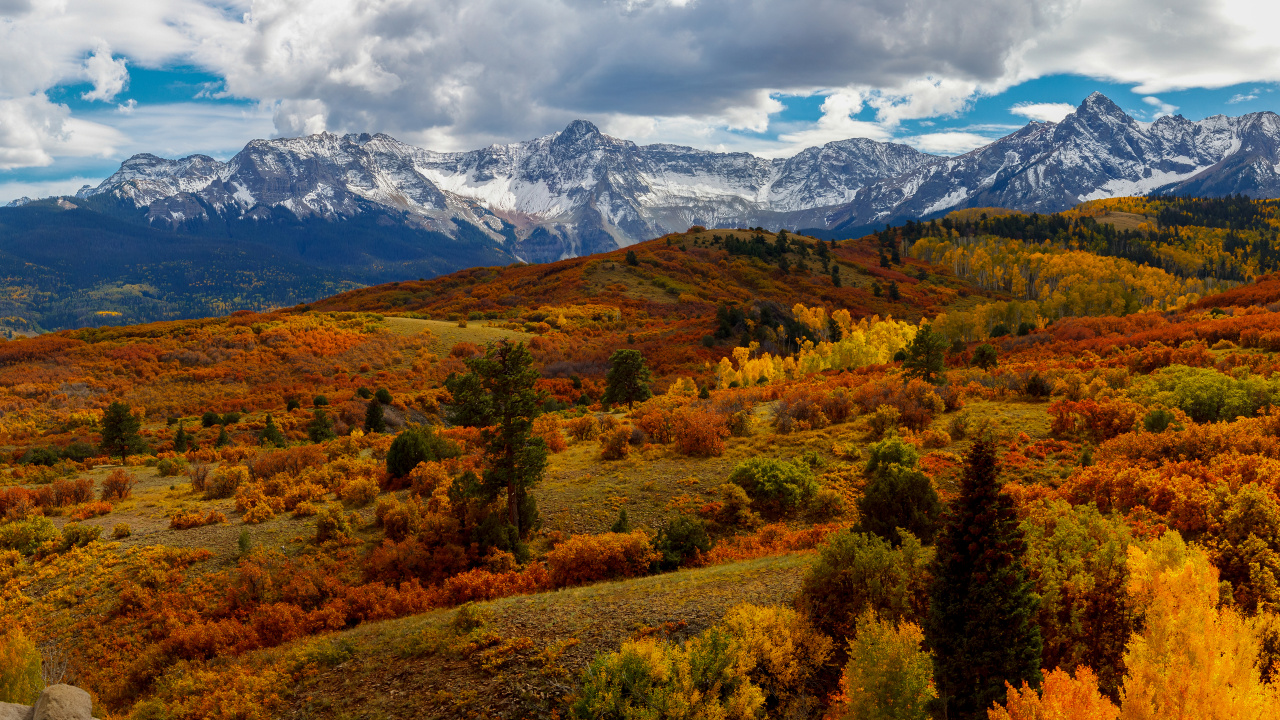 Обои природа, гора, облако, растение, лист в разрешении 1280x720