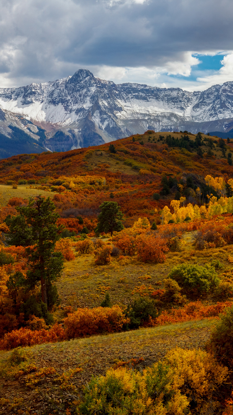 Обои природа, гора, облако, растение, лист в разрешении 750x1334