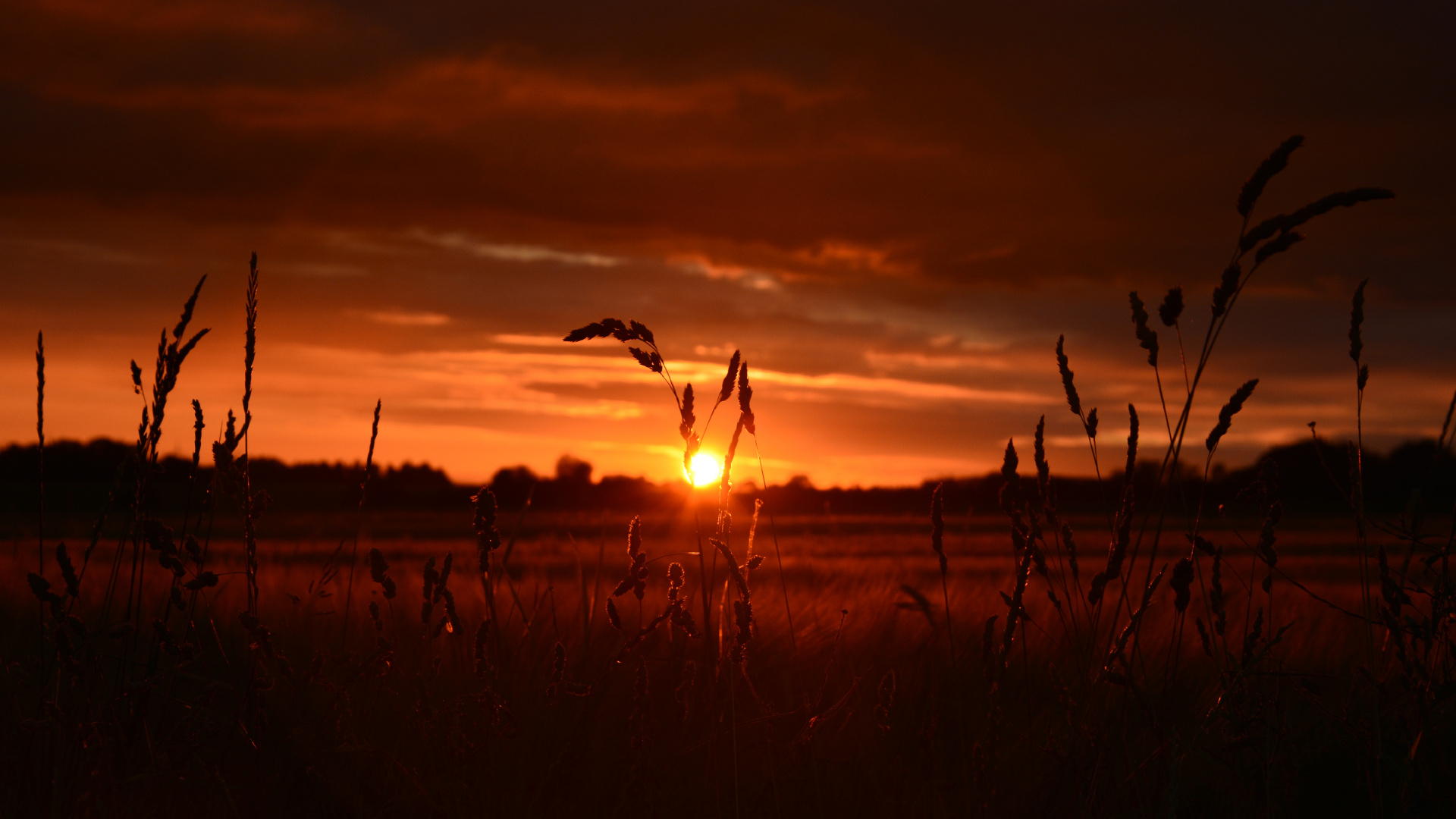 Обои закат, восход солнца, горизонт, послесвечение, облако в разрешении 1920x1080