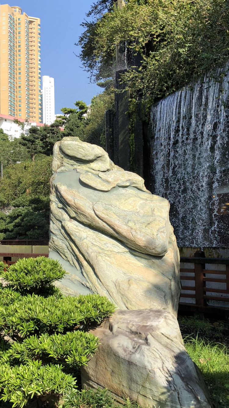 Обои дерево, статуя, археологический памятник, резьба по камню, растение в разрешении 750x1334