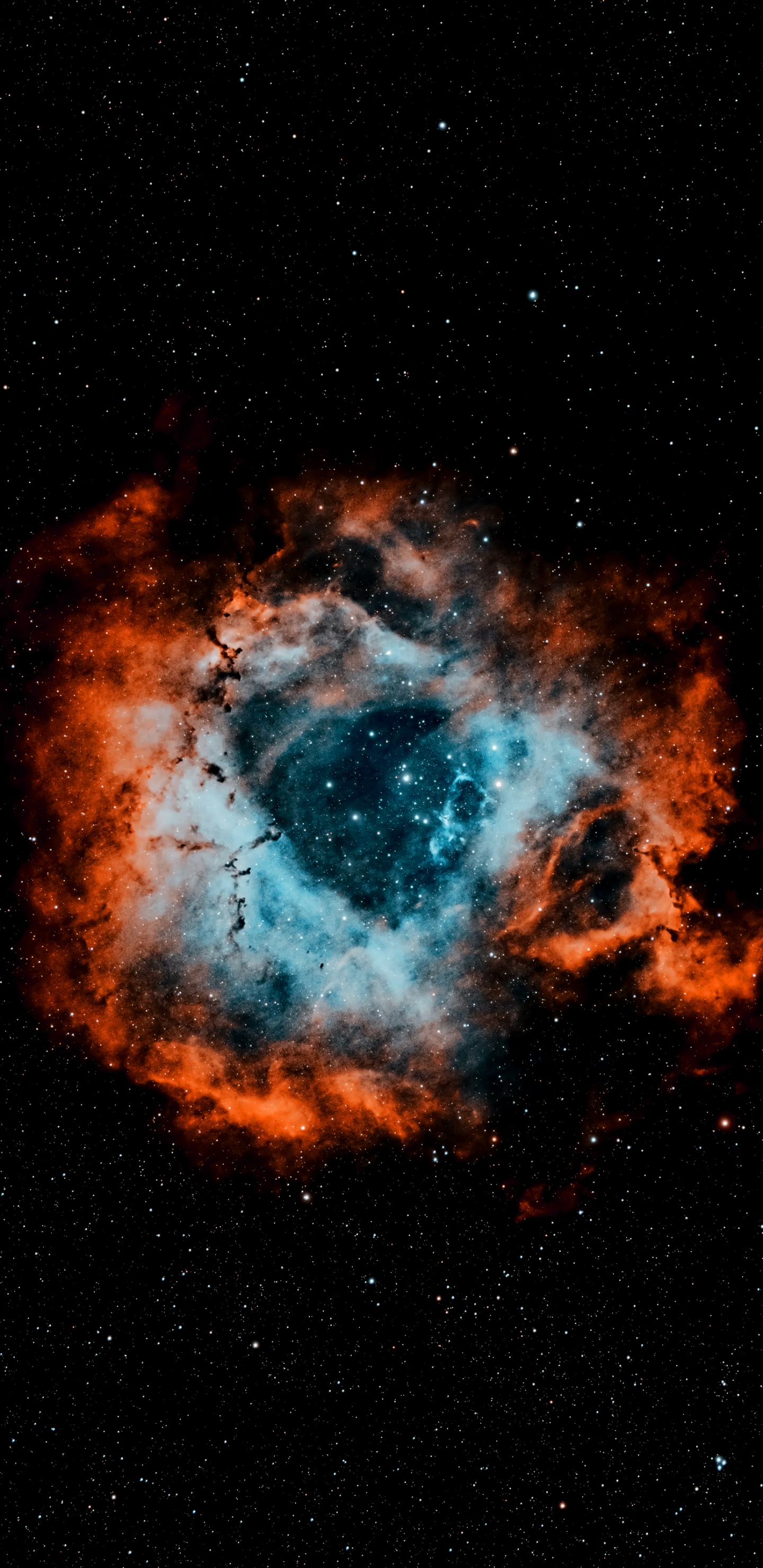 Обои туманность, Астрономия, атмосфера, мир, Галактика в разрешении 1440x2960