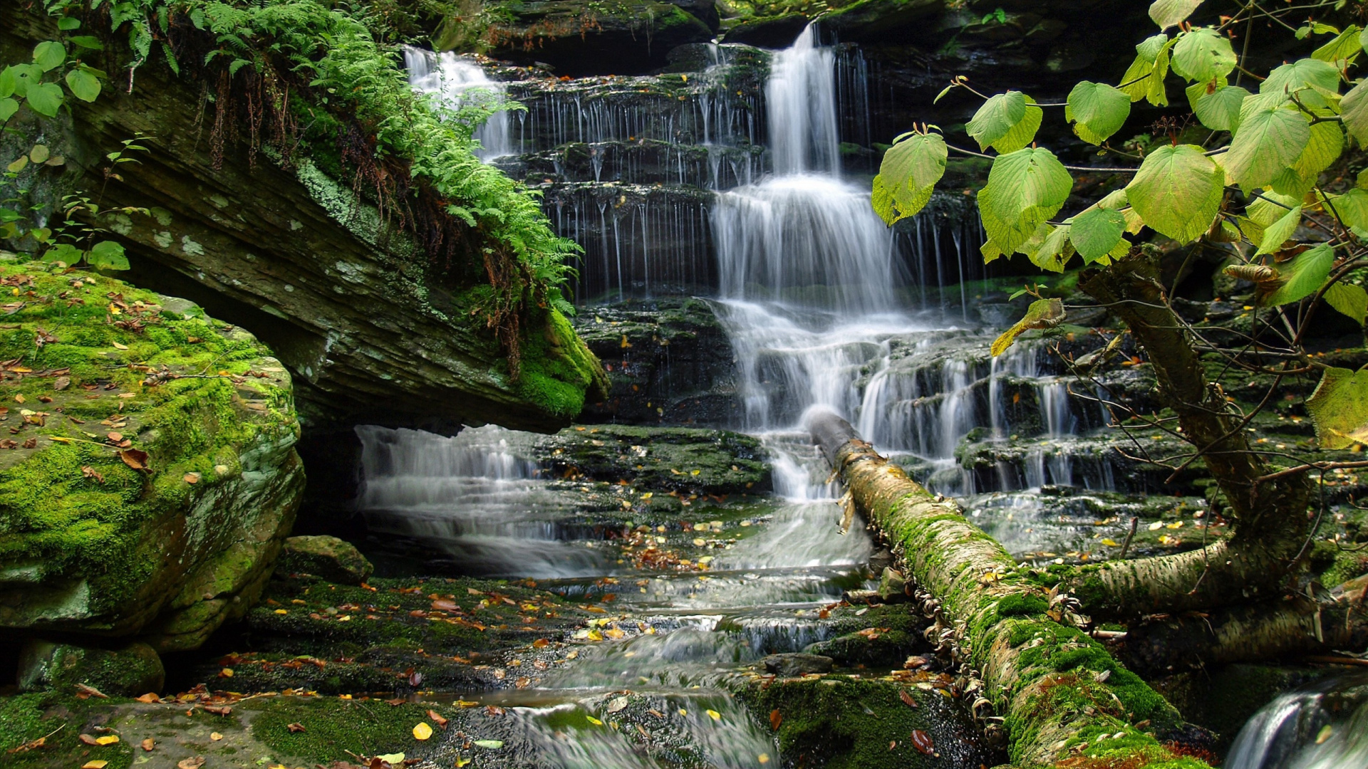 Обои водопад, водоем, гидроресурсы, природа, вода в разрешении 1920x1080