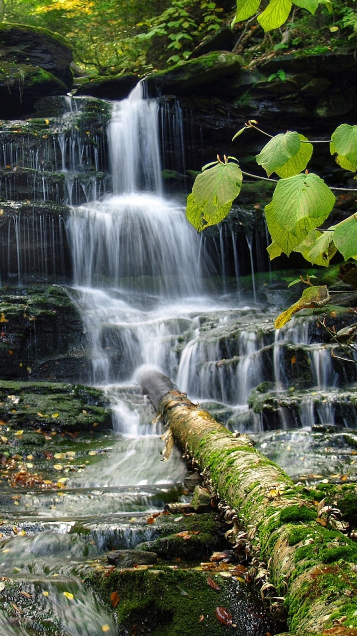 Обои водопад, водоем, гидроресурсы, природа, вода в разрешении 720x1280