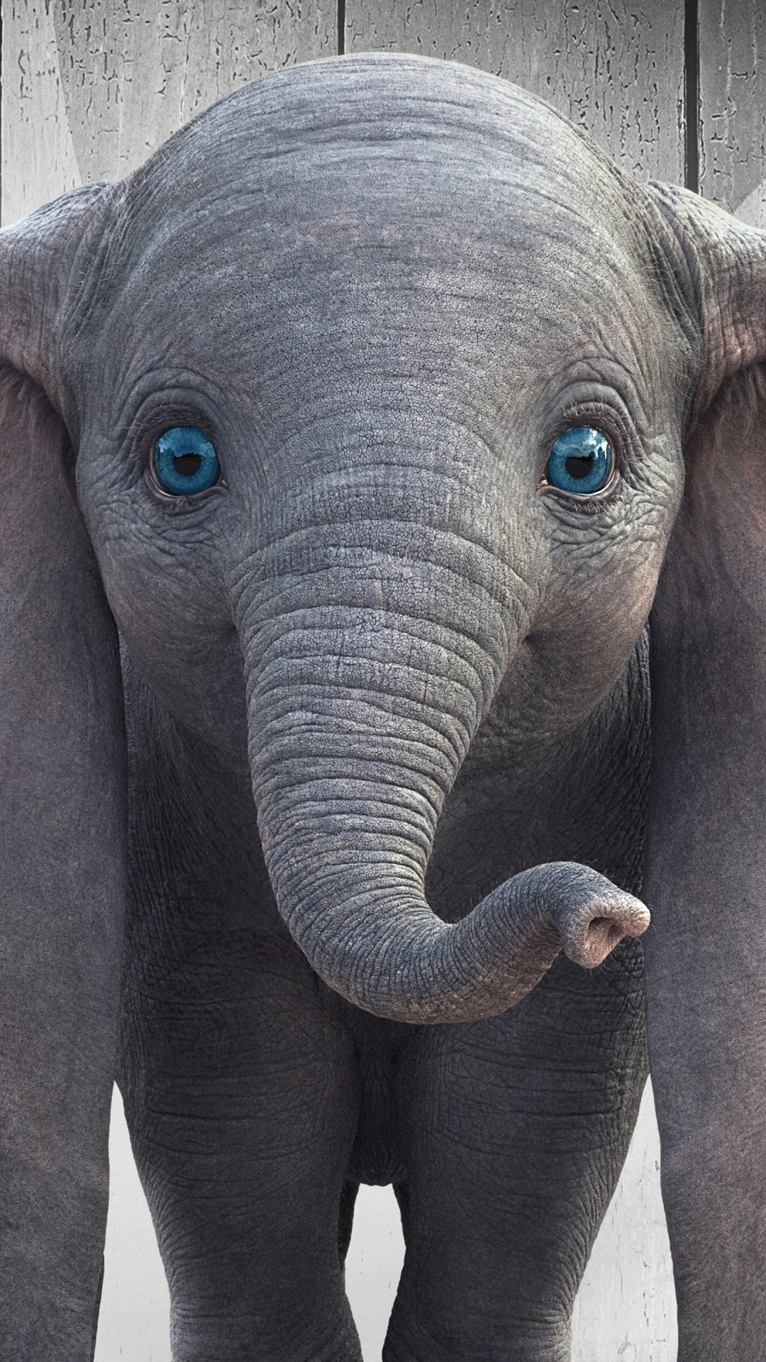 Обои Слон, привлекательность, дневное время, слоны и мамонты, синий в разрешении 1080x1920