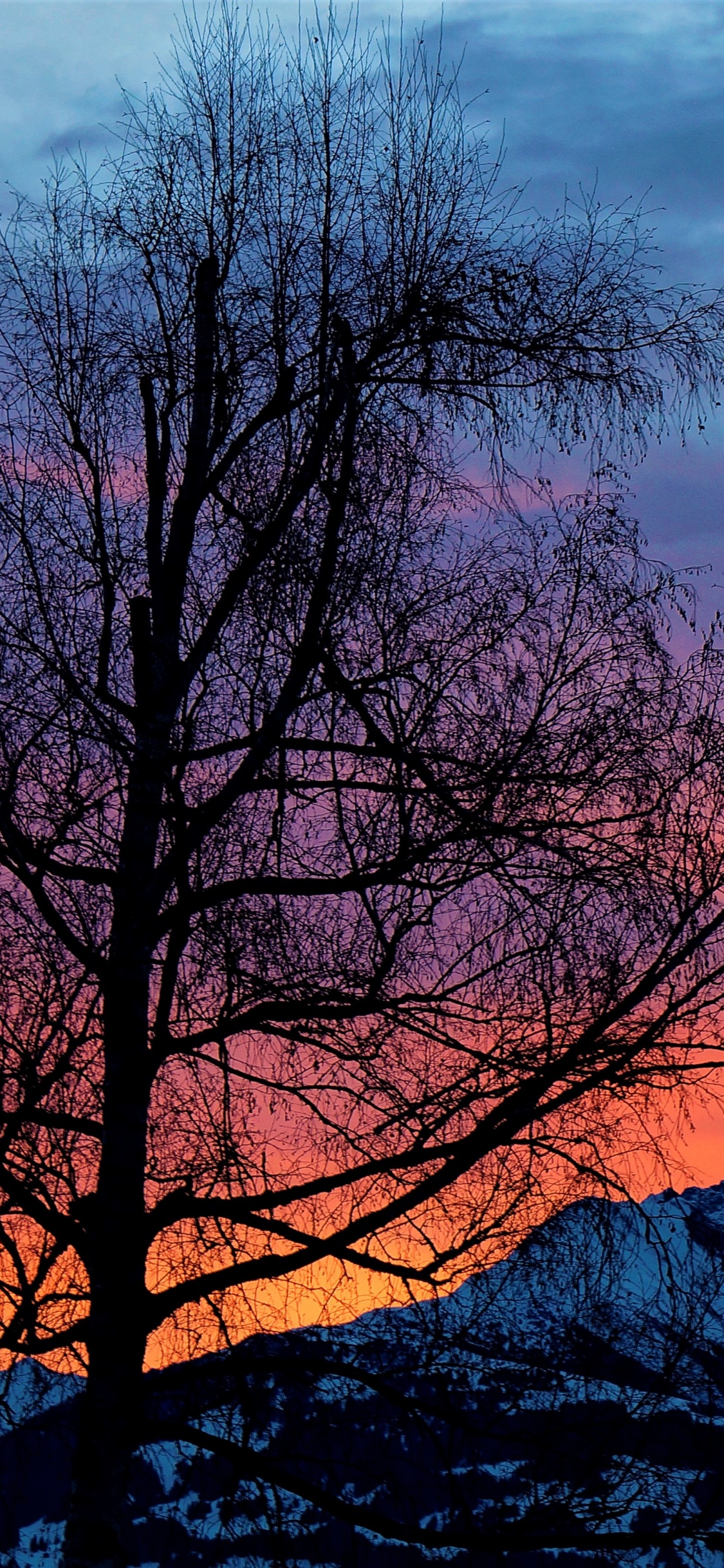 Обои природа, утро, восход солнца, закат, природный ландшафт в разрешении 1125x2436