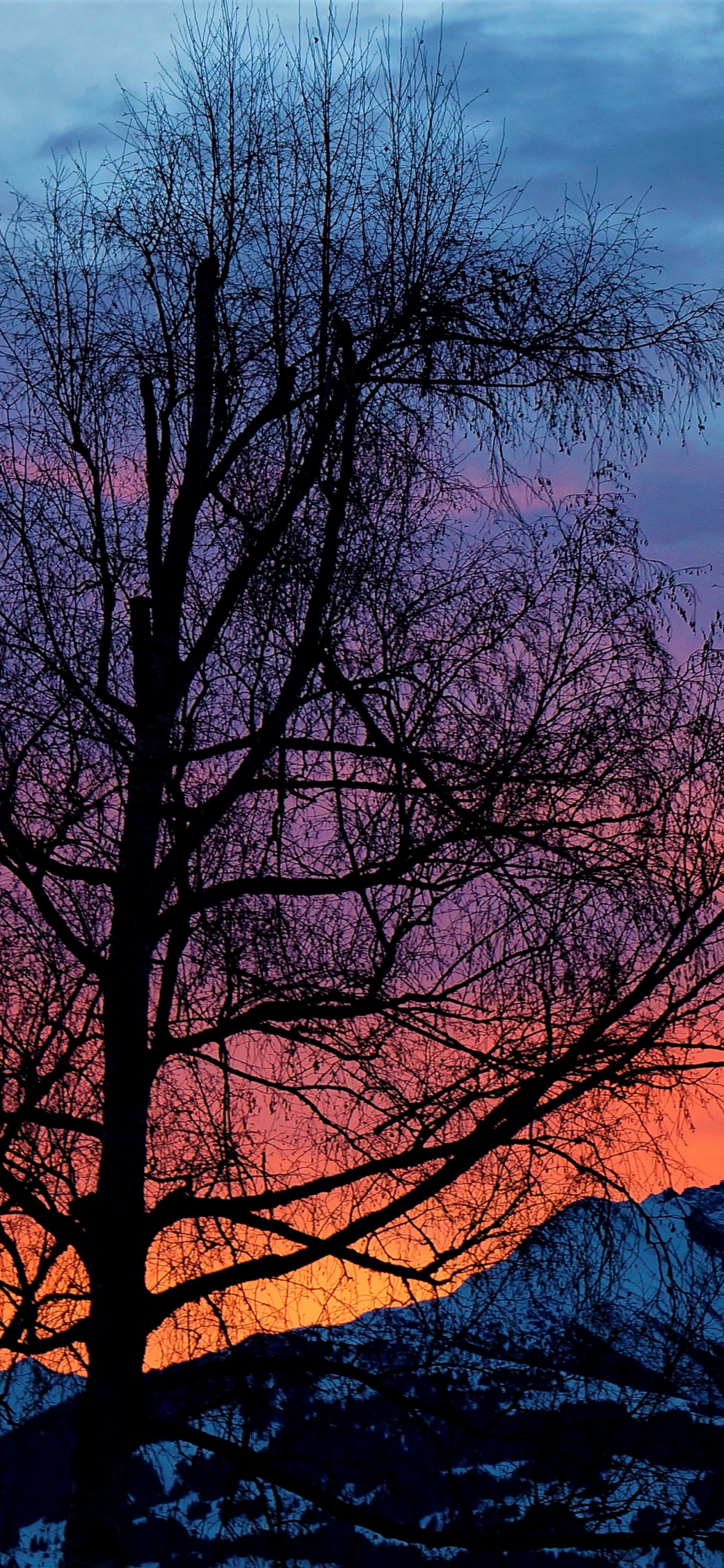 Обои природа, утро, восход солнца, закат, природный ландшафт в разрешении 1242x2688