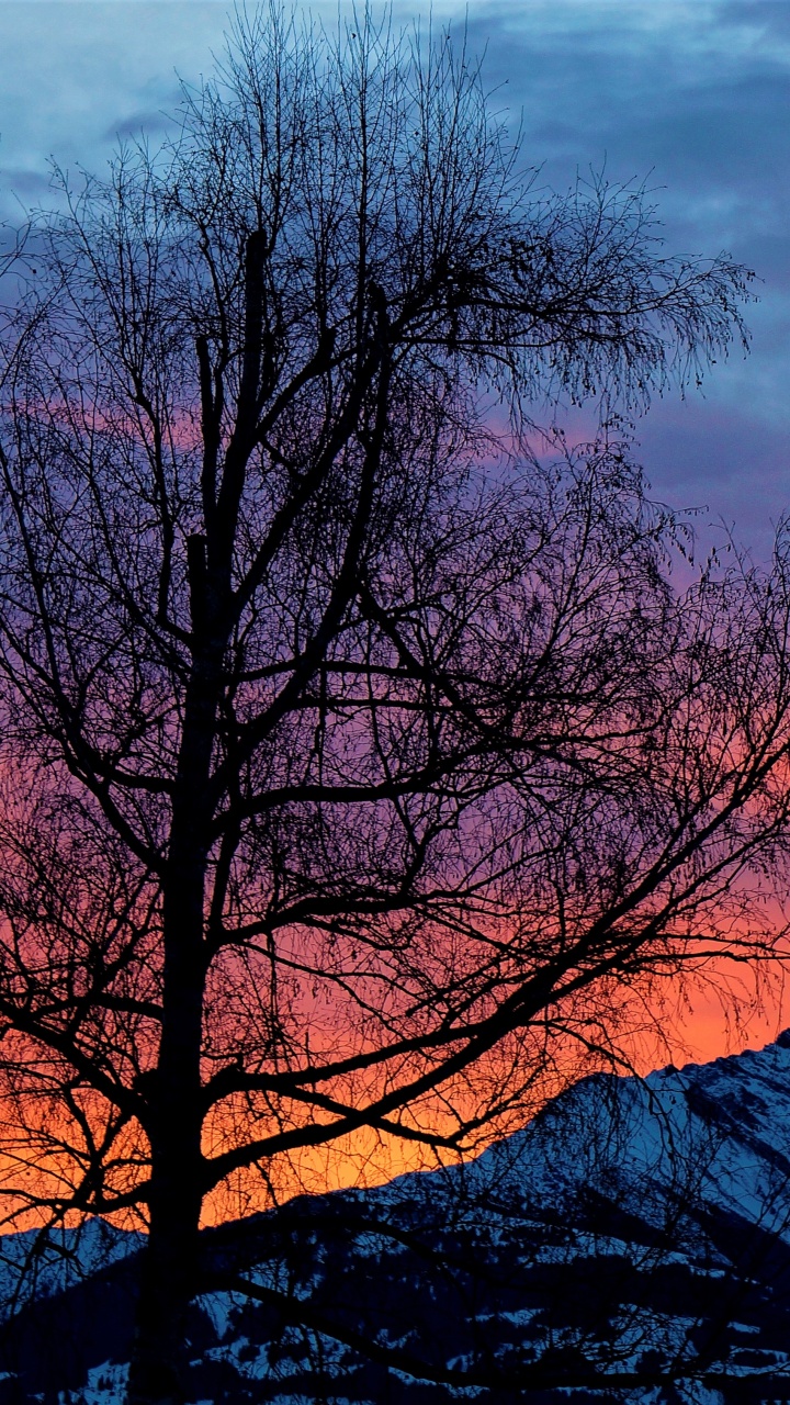 Обои природа, утро, восход солнца, закат, природный ландшафт в разрешении 720x1280