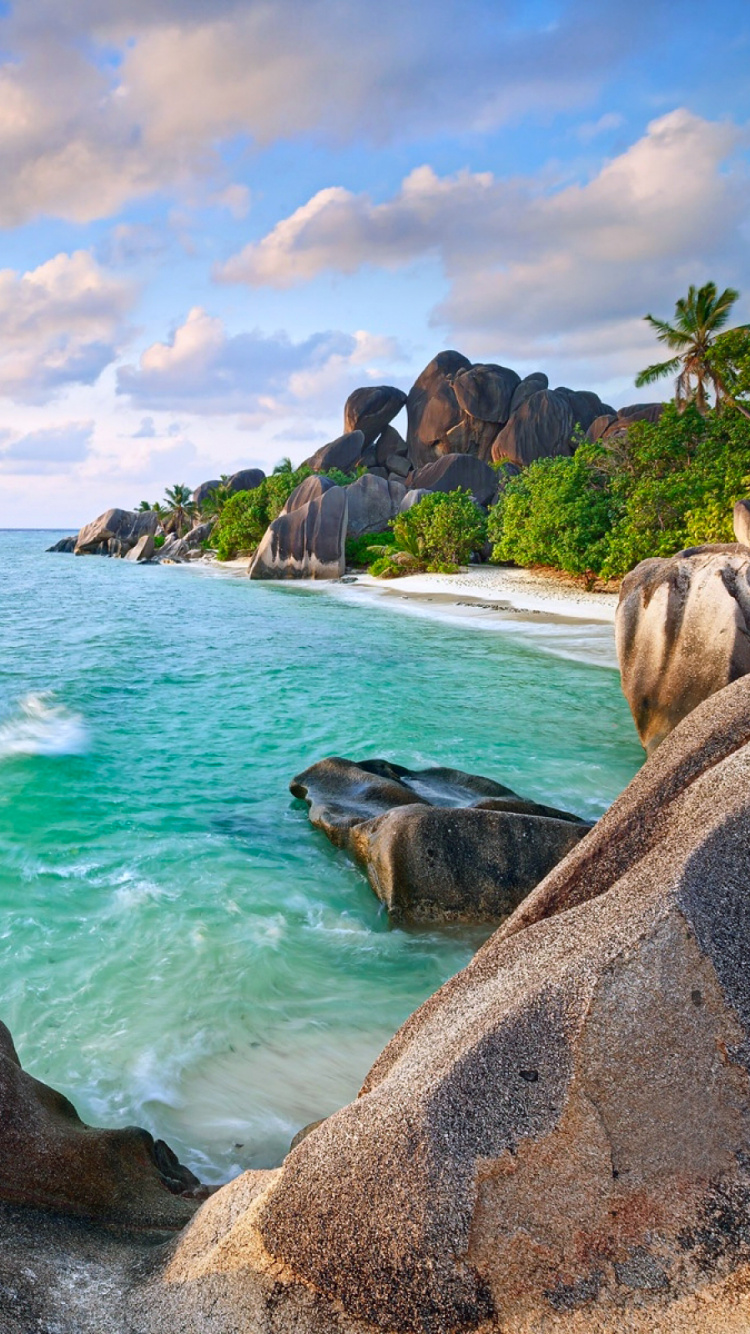 Обои пляж, море, природа, побережье, берег в разрешении 750x1334