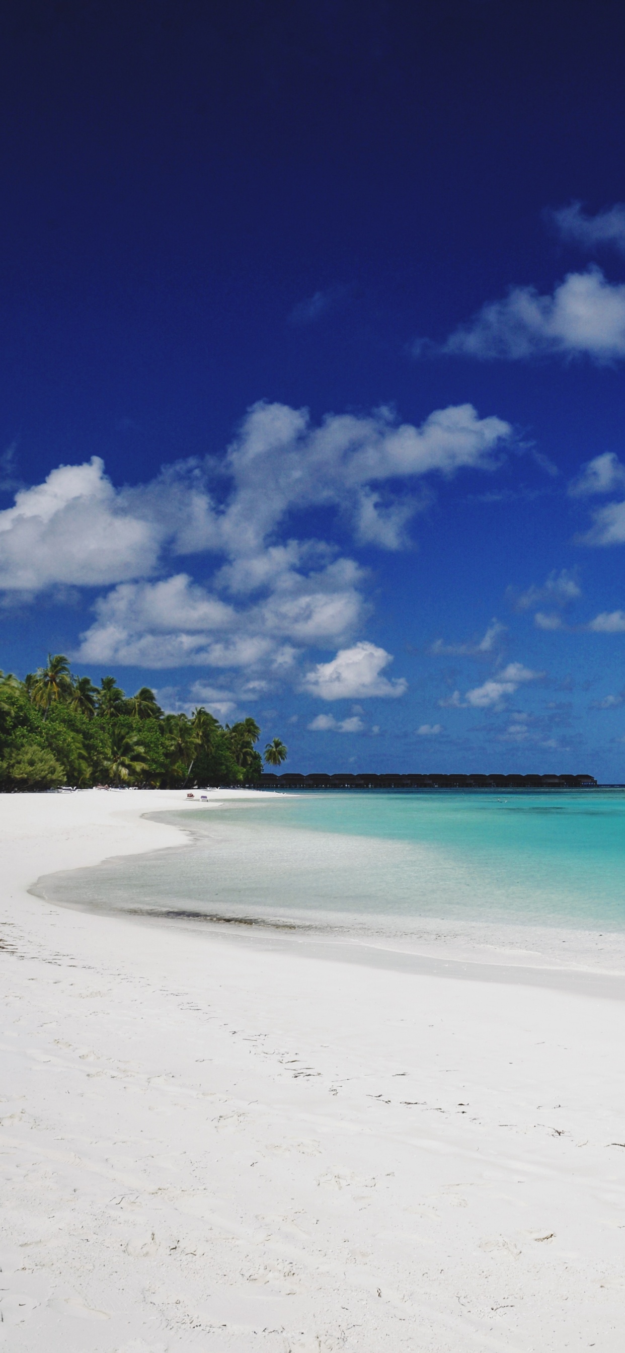 Обои пляж, море, водоем, синий, тропическая зона в разрешении 1242x2688