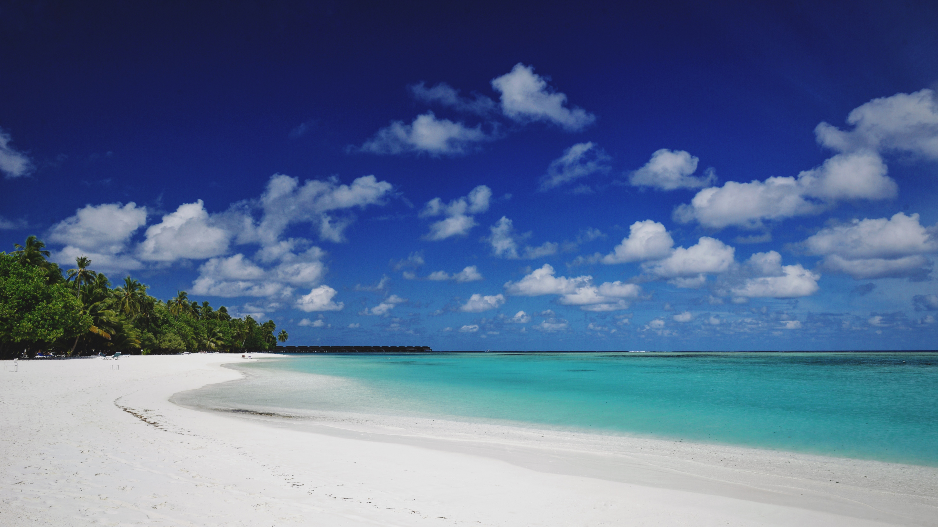 Paradise Island Water Sports download pdf