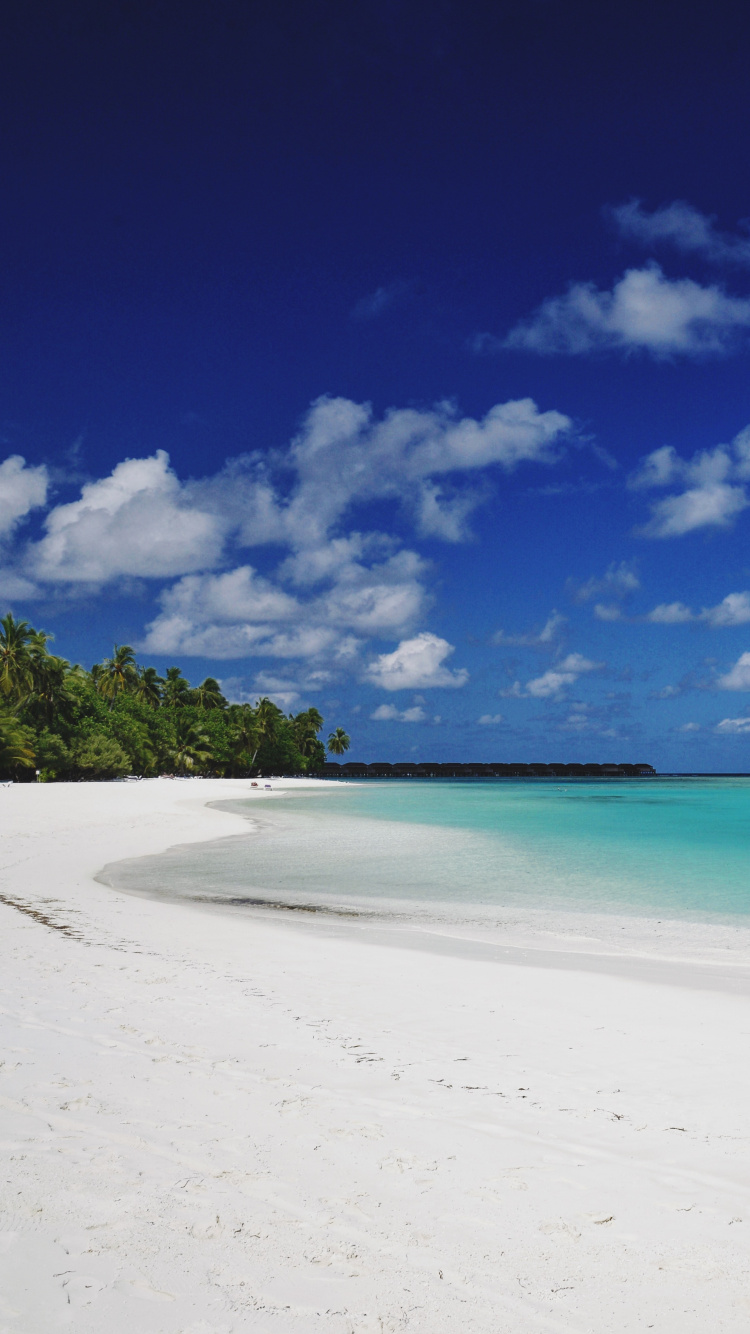 Обои пляж, море, водоем, синий, тропическая зона в разрешении 750x1334