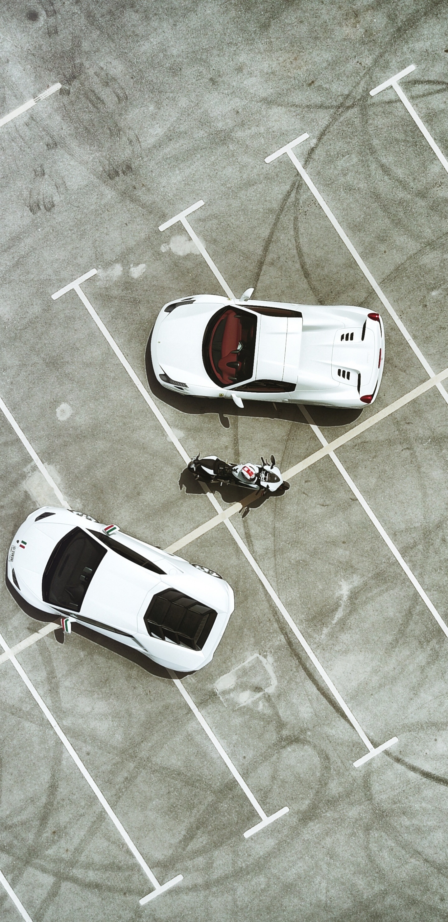 Обои мотоцикл, ducati, авто, Ламборджини, дизайн в разрешении 1440x2960