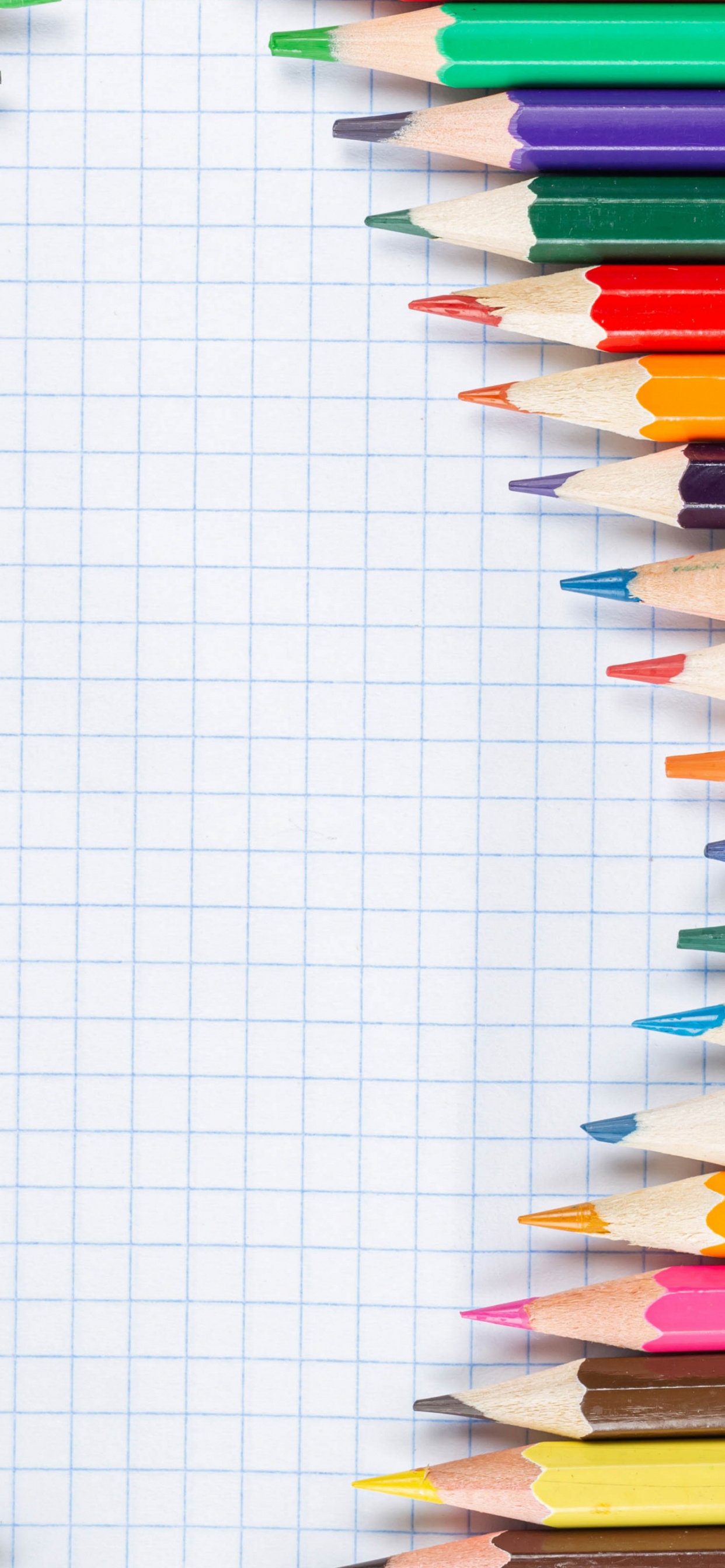 Обои карандаш, красочность, написание реализации, линия, прямоугольник в разрешении 1242x2688