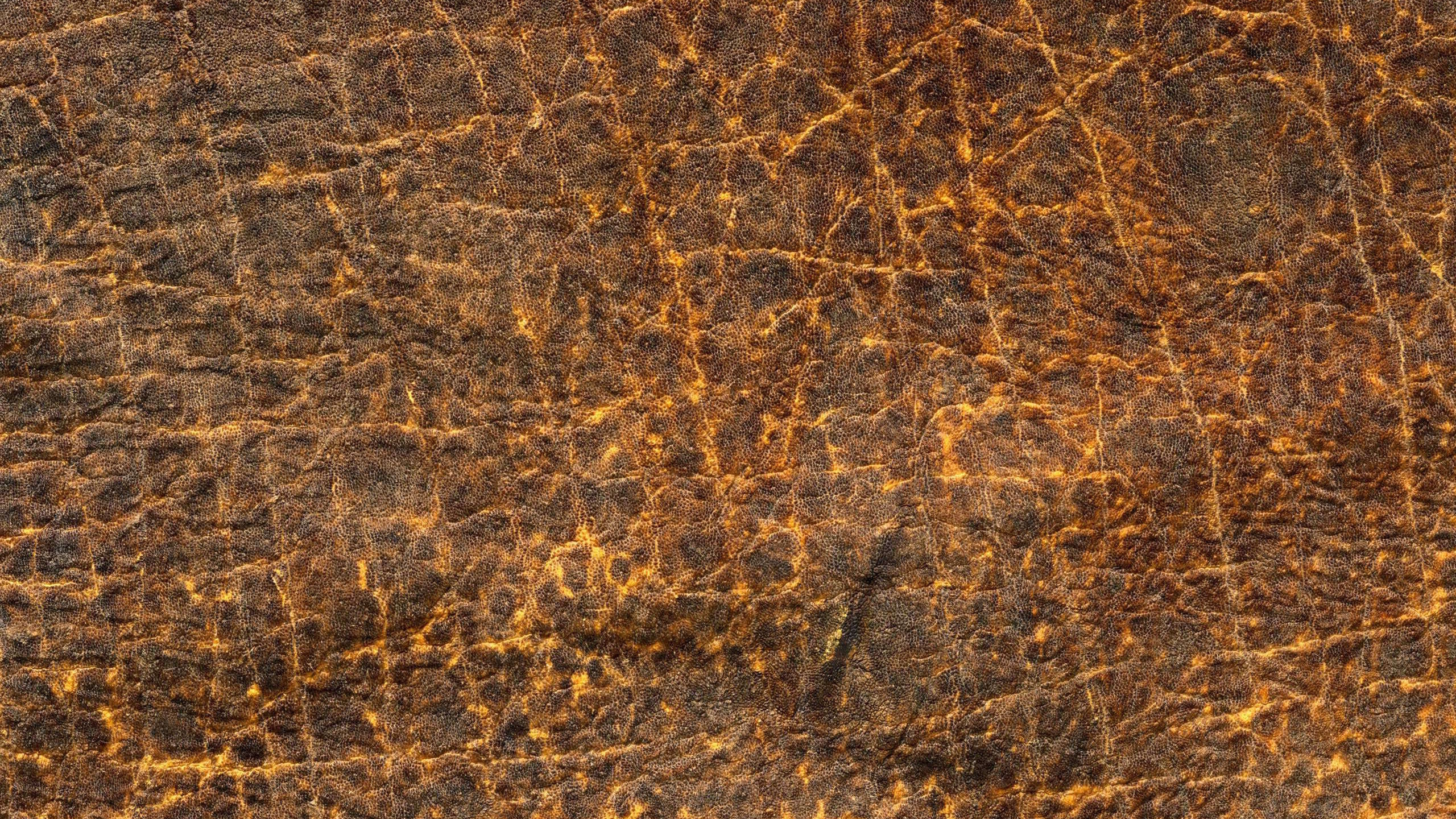 Обои текстура, коричневый цвет, узор, рок, древесина в разрешении 2560x1440