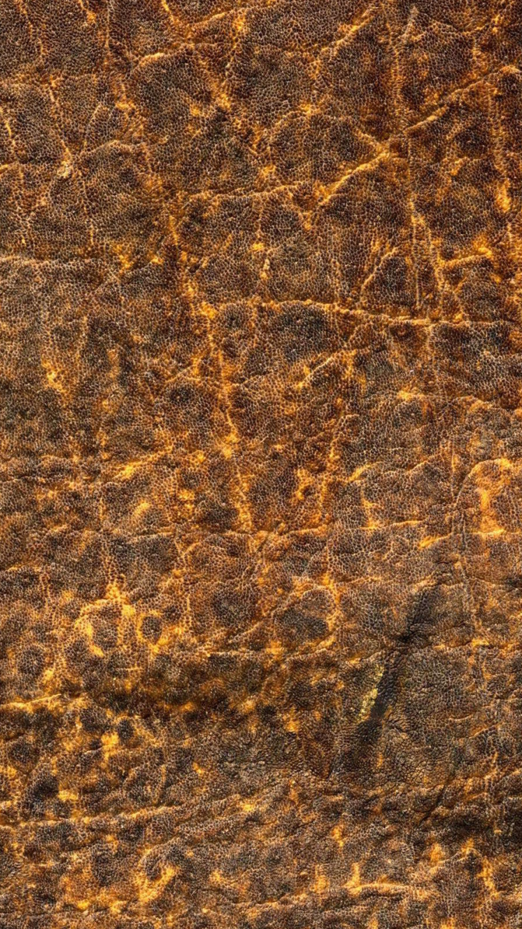 Обои текстура, коричневый цвет, узор, рок, древесина в разрешении 750x1334