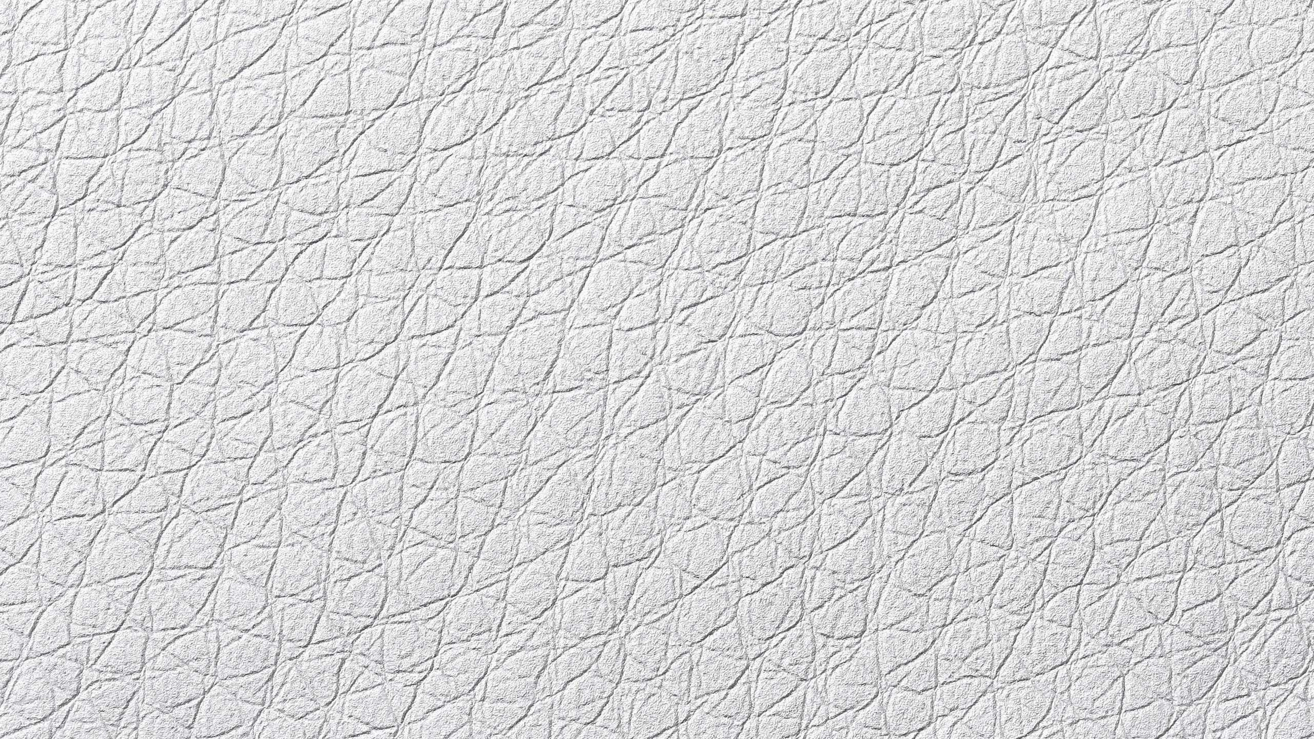 Обои узор, монохромный режим, линия, текстура, материал в разрешении 2560x1440