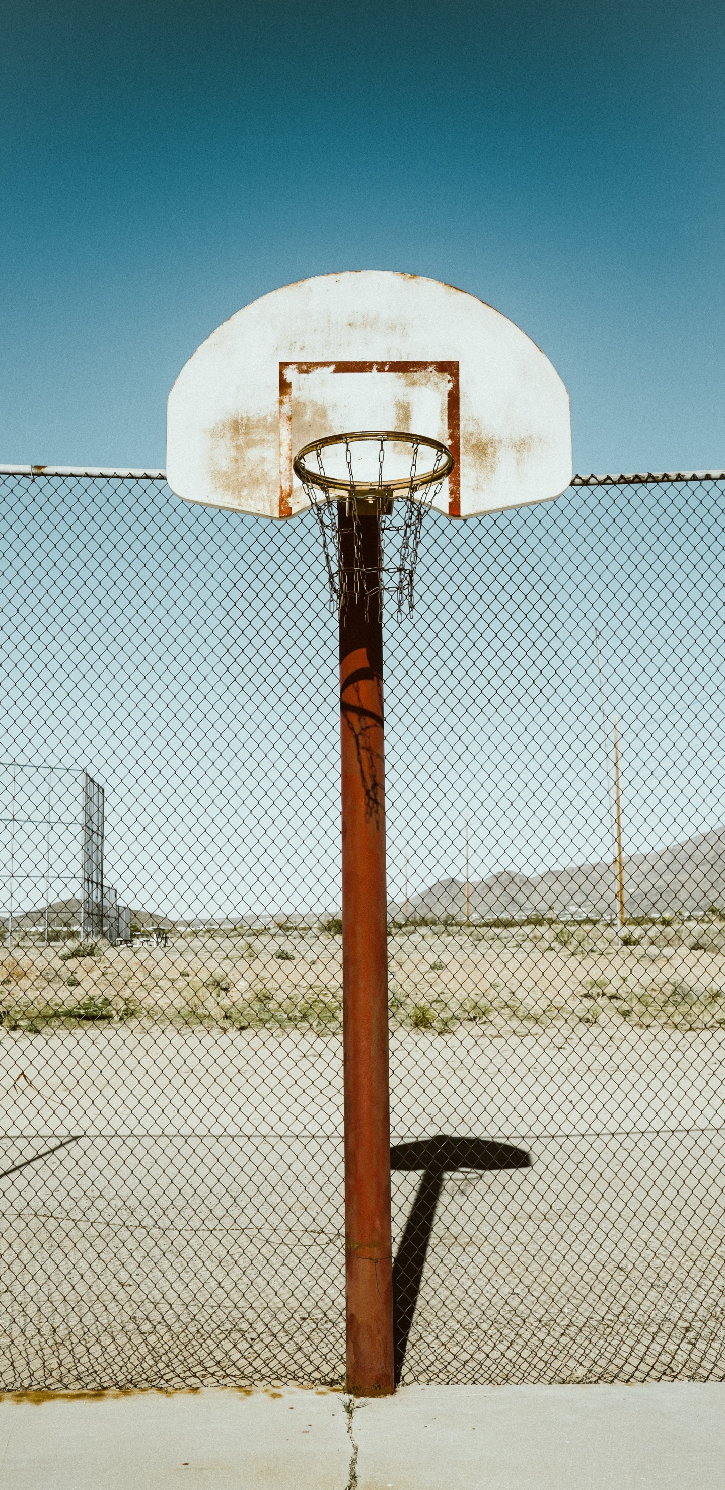 Обои Баскетбол, баскетбольная площадка, баскетбольное кольцо, дерево, пейзаж в разрешении 1440x2960