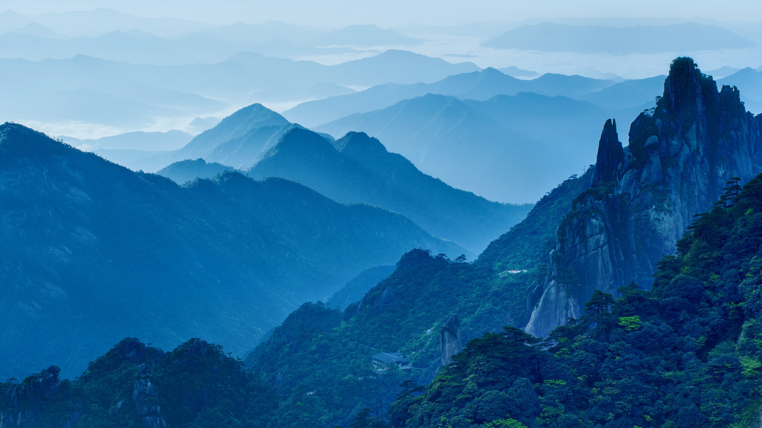 Обои Huawei, Huawei Mate, Huawei Mate 10, Huawei Mate 10 Pro, андроид в разрешении 2560x1440