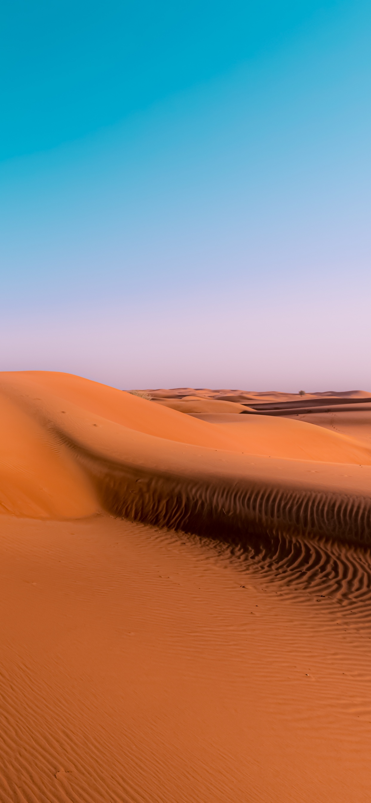 Обои эрг, поющий песок, окружающая среда, природный ландшафт, пейзаж в разрешении 1242x2688