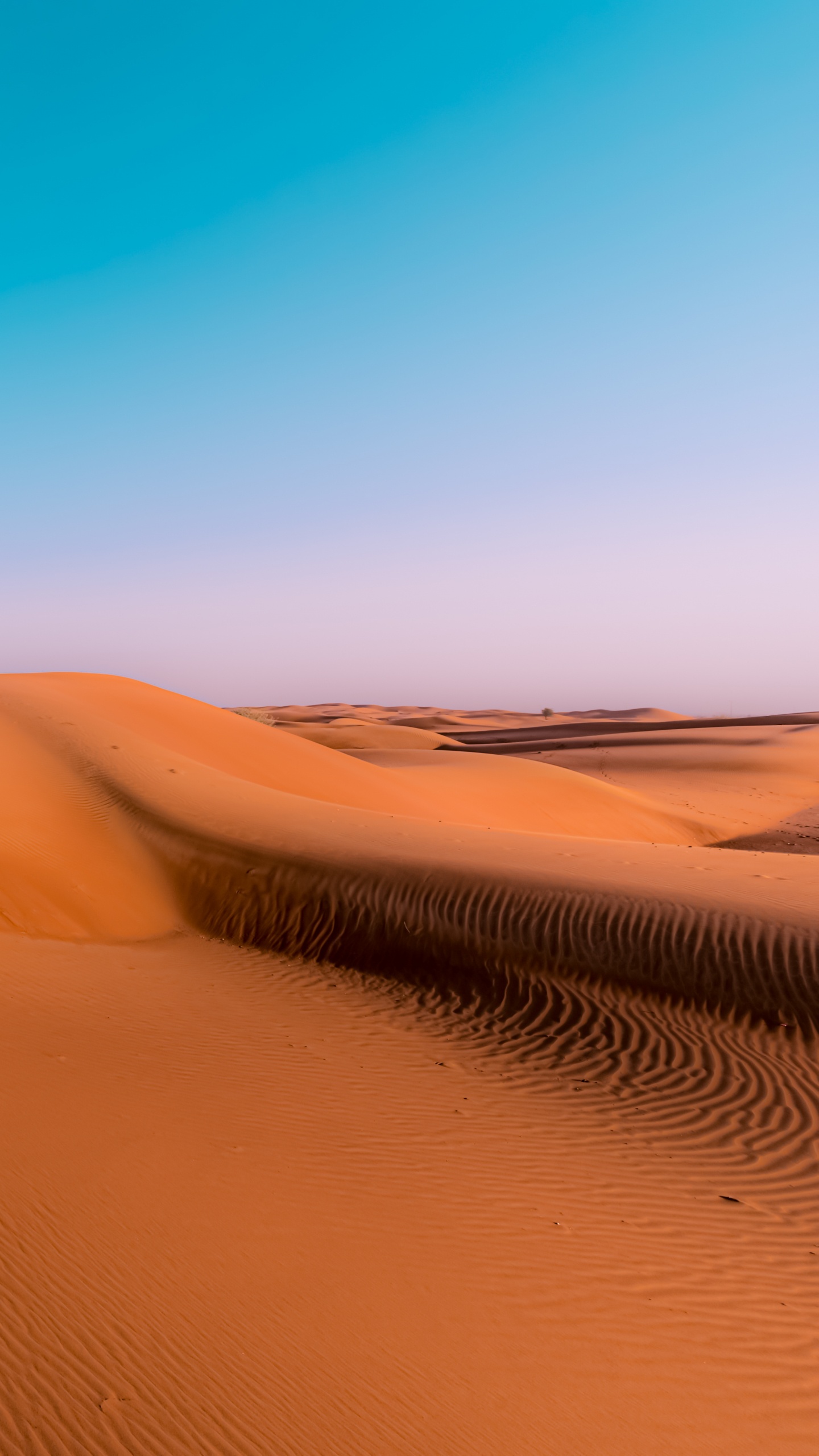 Обои эрг, поющий песок, окружающая среда, природный ландшафт, пейзаж в разрешении 1440x2560