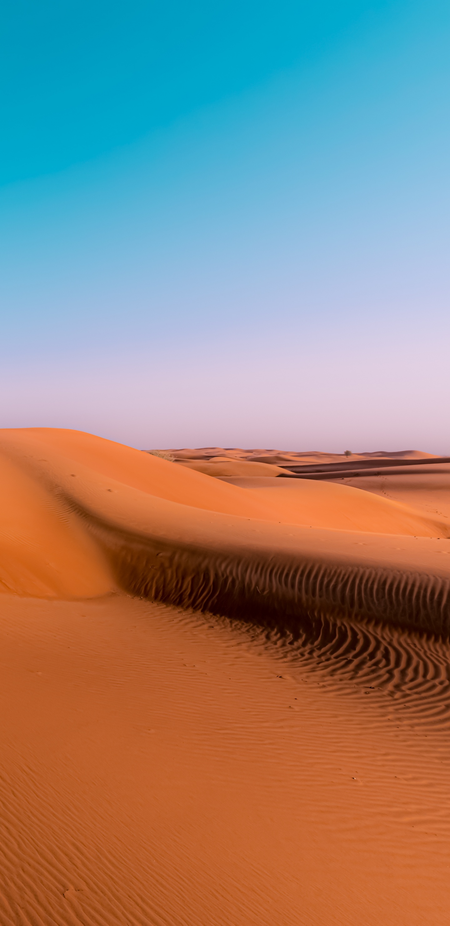 Обои эрг, поющий песок, окружающая среда, природный ландшафт, пейзаж в разрешении 1440x2960