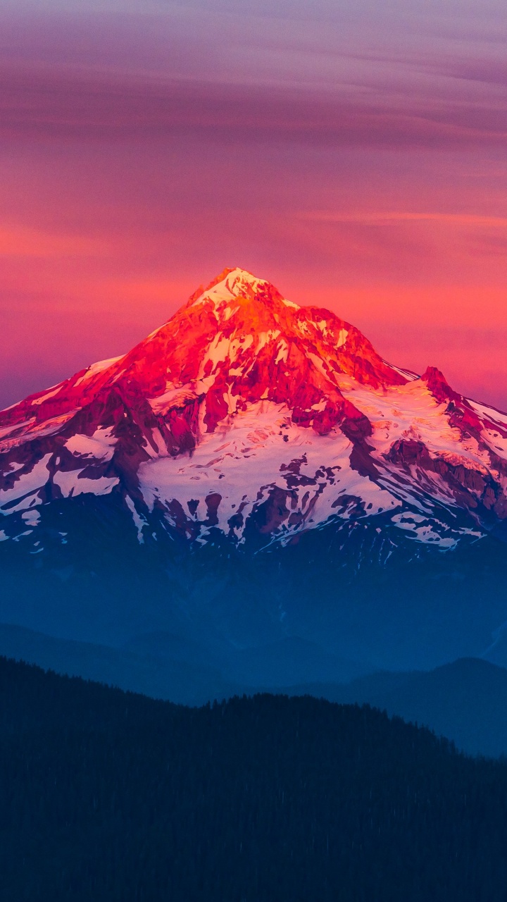 Обои Горная Лиственница, Маунтхуд, гора, вулкан, закат в разрешении 720x1280