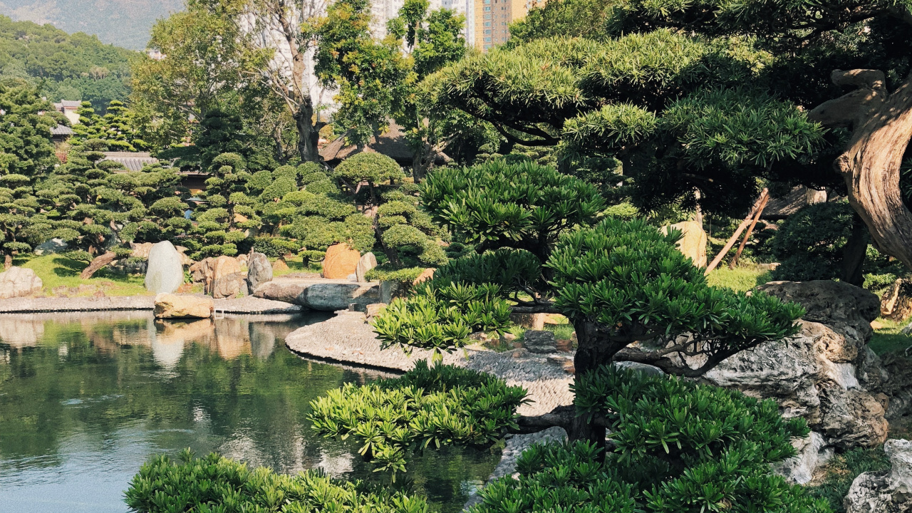 Обои Гонконг, растительность, Ботанический сад, биом, вода в разрешении 1280x720