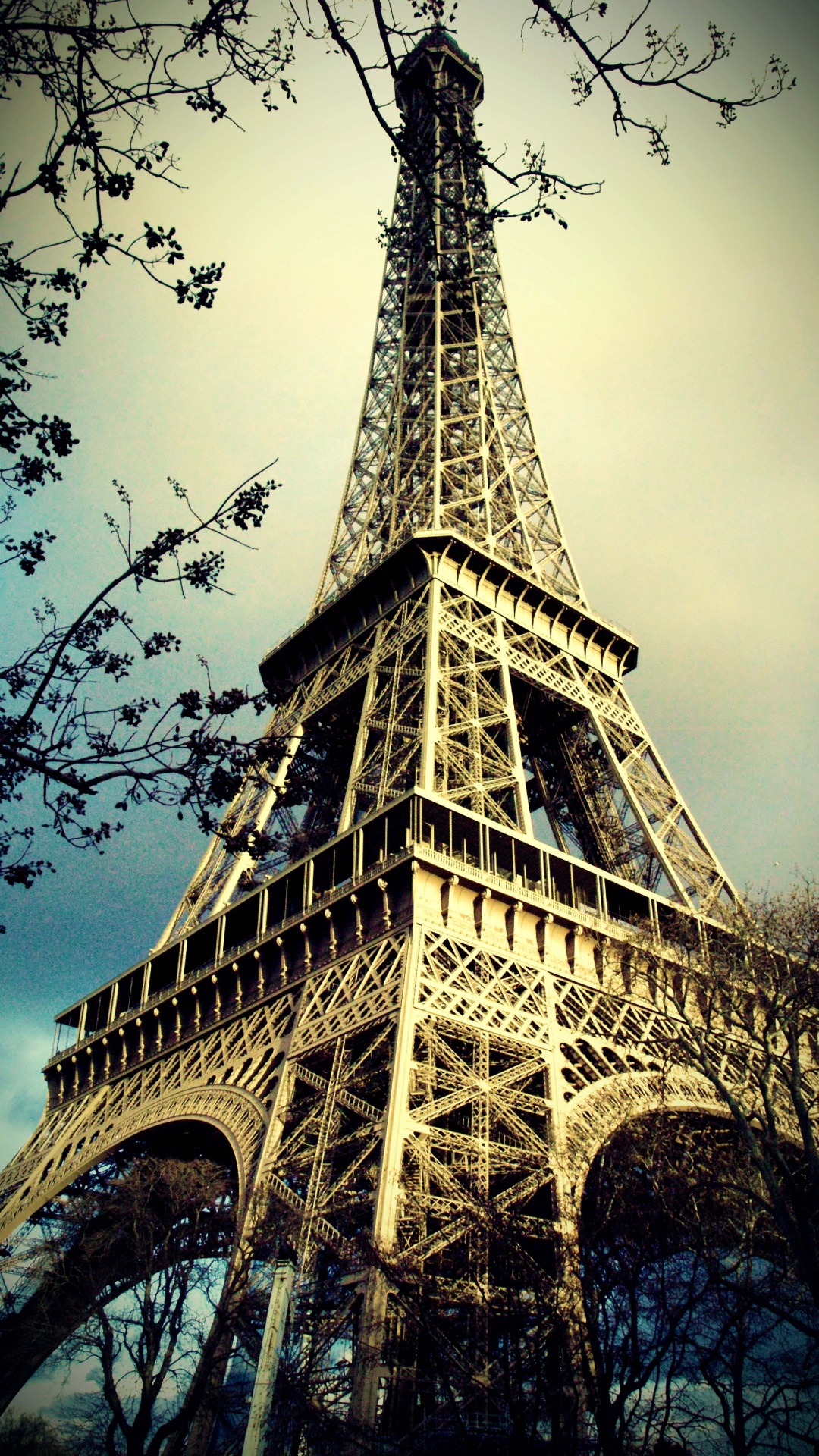 Обои Эйфелева башня, вышка, ориентир, дерево, архитектура в разрешении 1080x1920