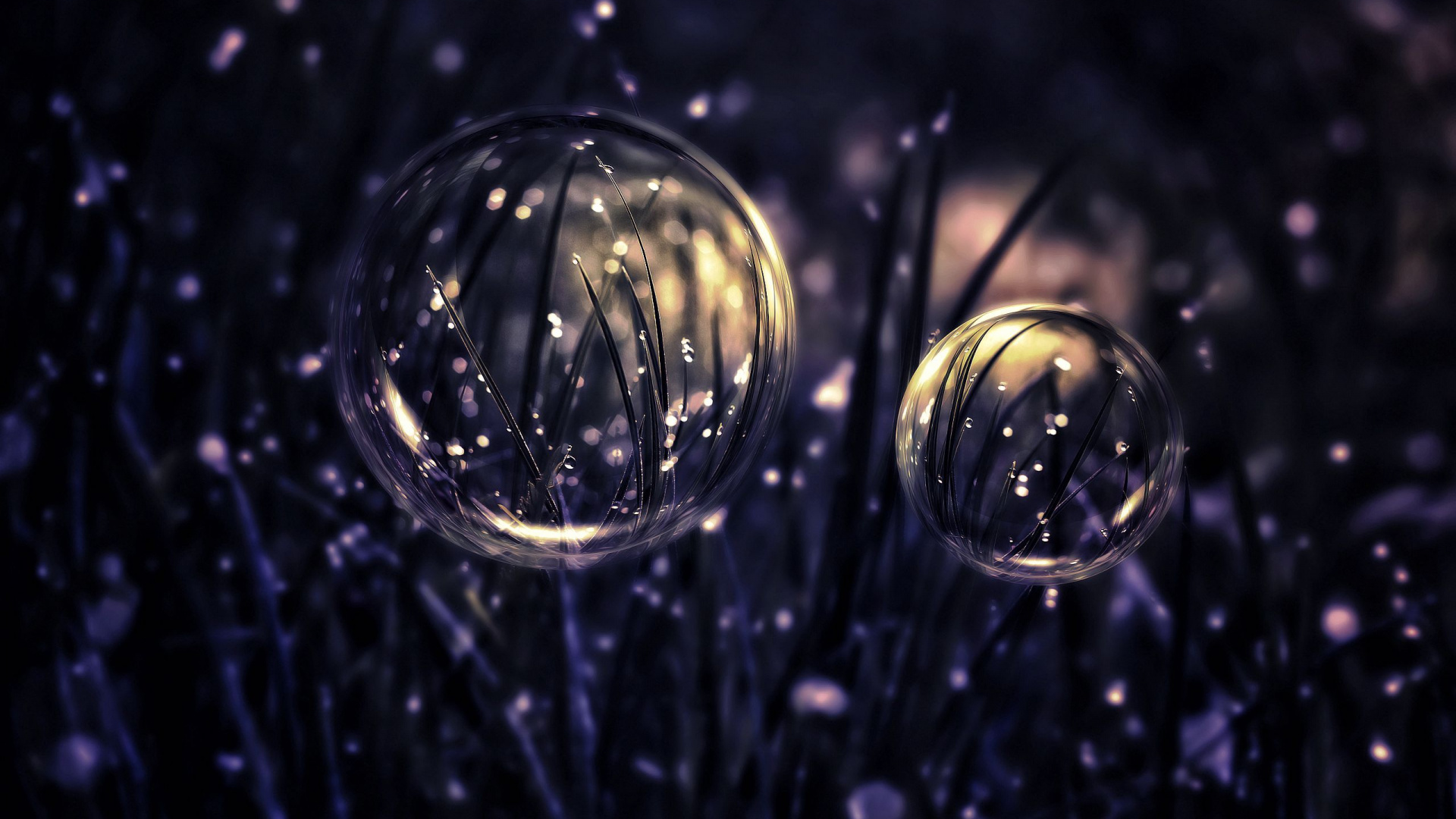 Обои рождественский орнамент, растение, вода, жидкий, орнамент в разрешении 1920x1080