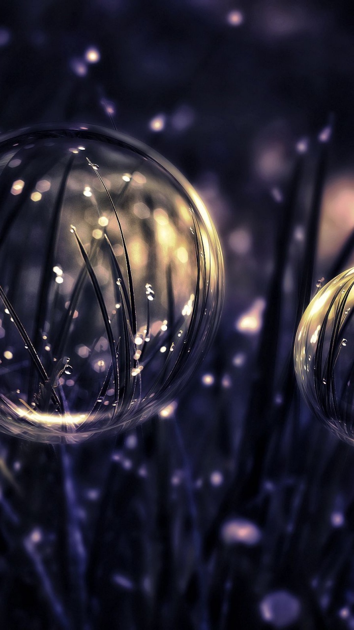 Обои рождественский орнамент, растение, вода, жидкий, орнамент в разрешении 720x1280