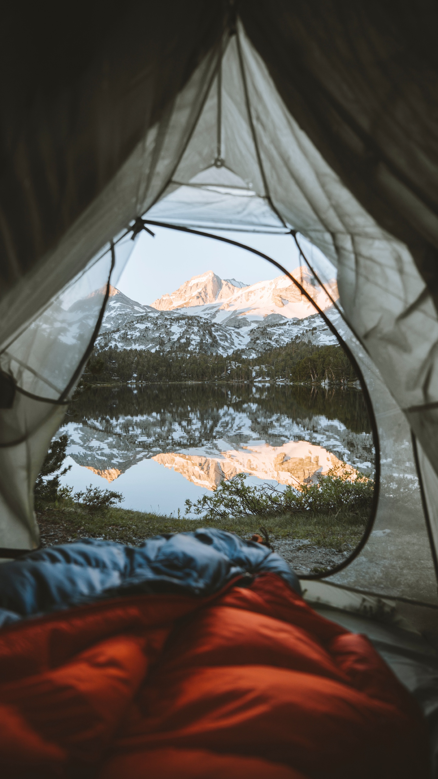 Обои Маммот Лейкс, полутона и оттенки, дерево, Кемпинг, мебель в разрешении 1440x2560