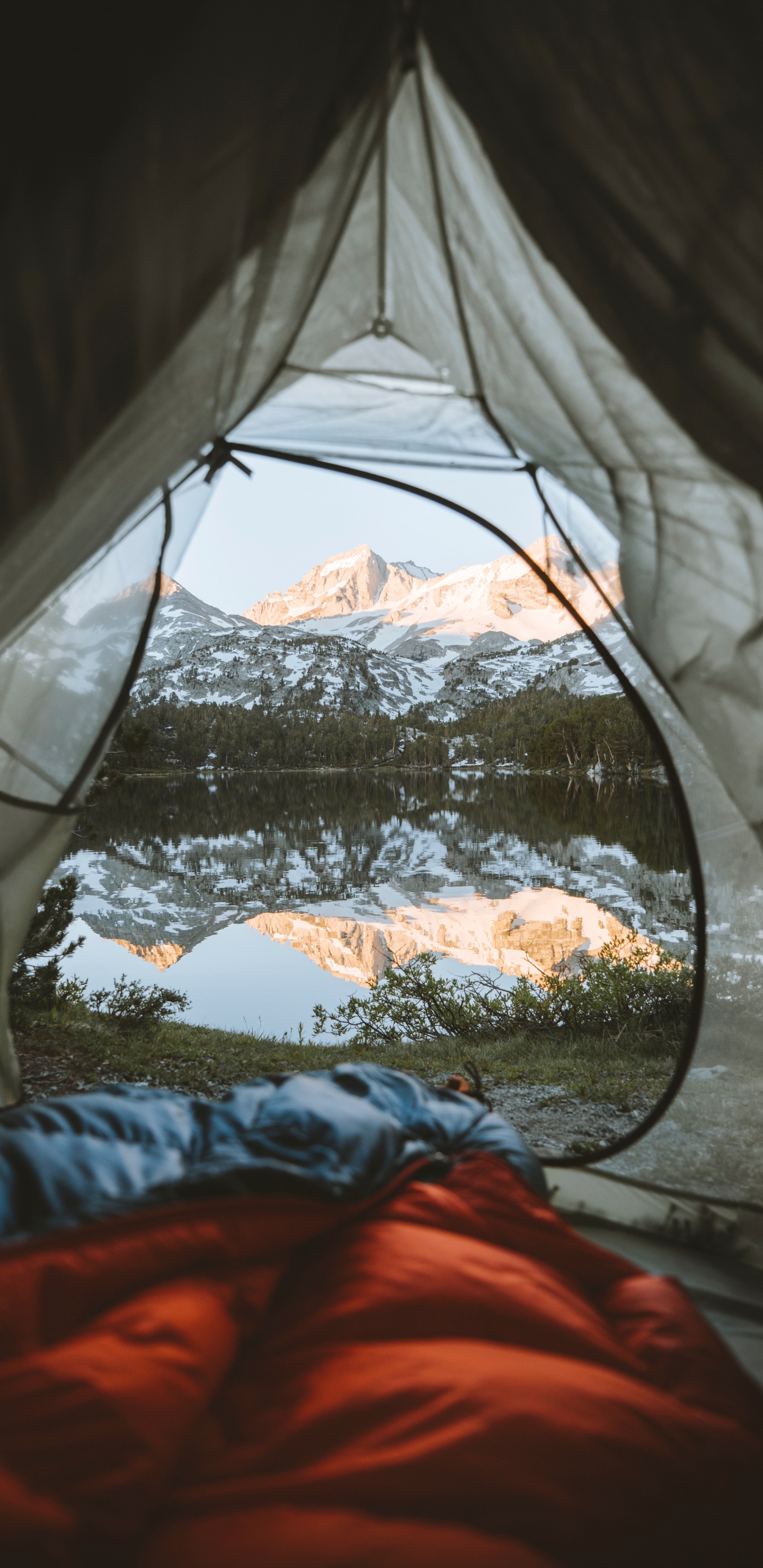 Обои Маммот Лейкс, полутона и оттенки, дерево, Кемпинг, мебель в разрешении 1440x2960