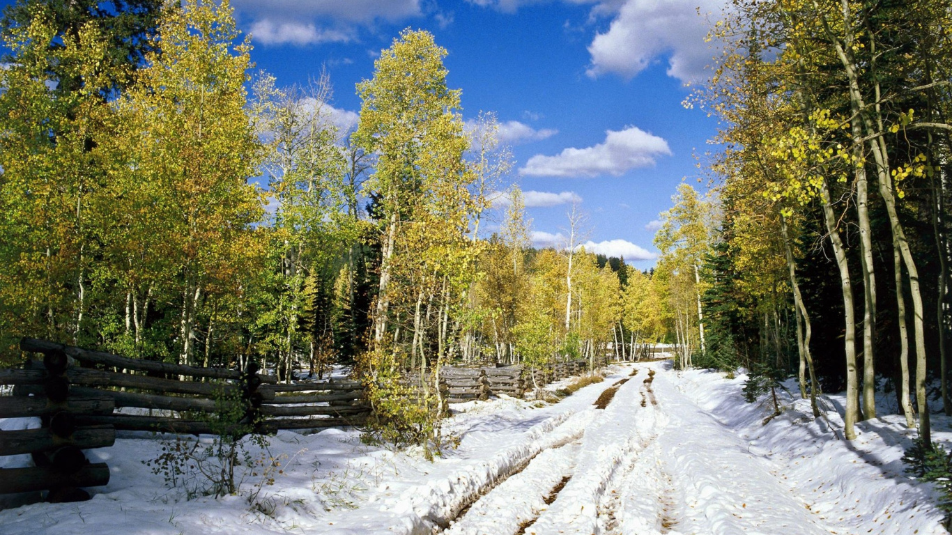 Обои дерево, снег, природа, дикая местность, пустыни в разрешении 1366x768