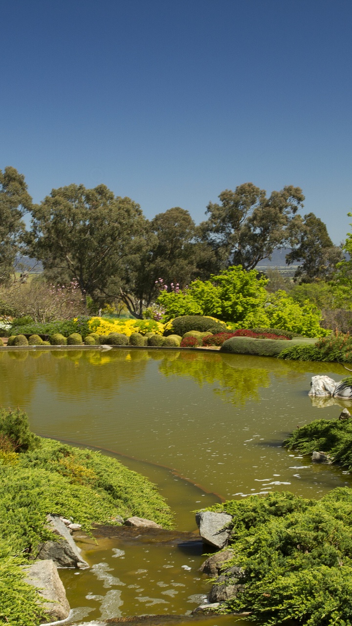 Обои природа, сад, Банк, растительность, вода в разрешении 720x1280