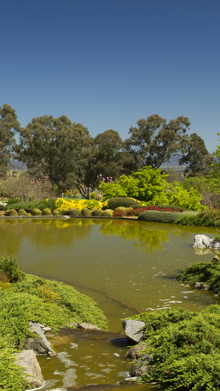 Обои природа, сад, Банк, растительность, вода в разрешении 750x1334