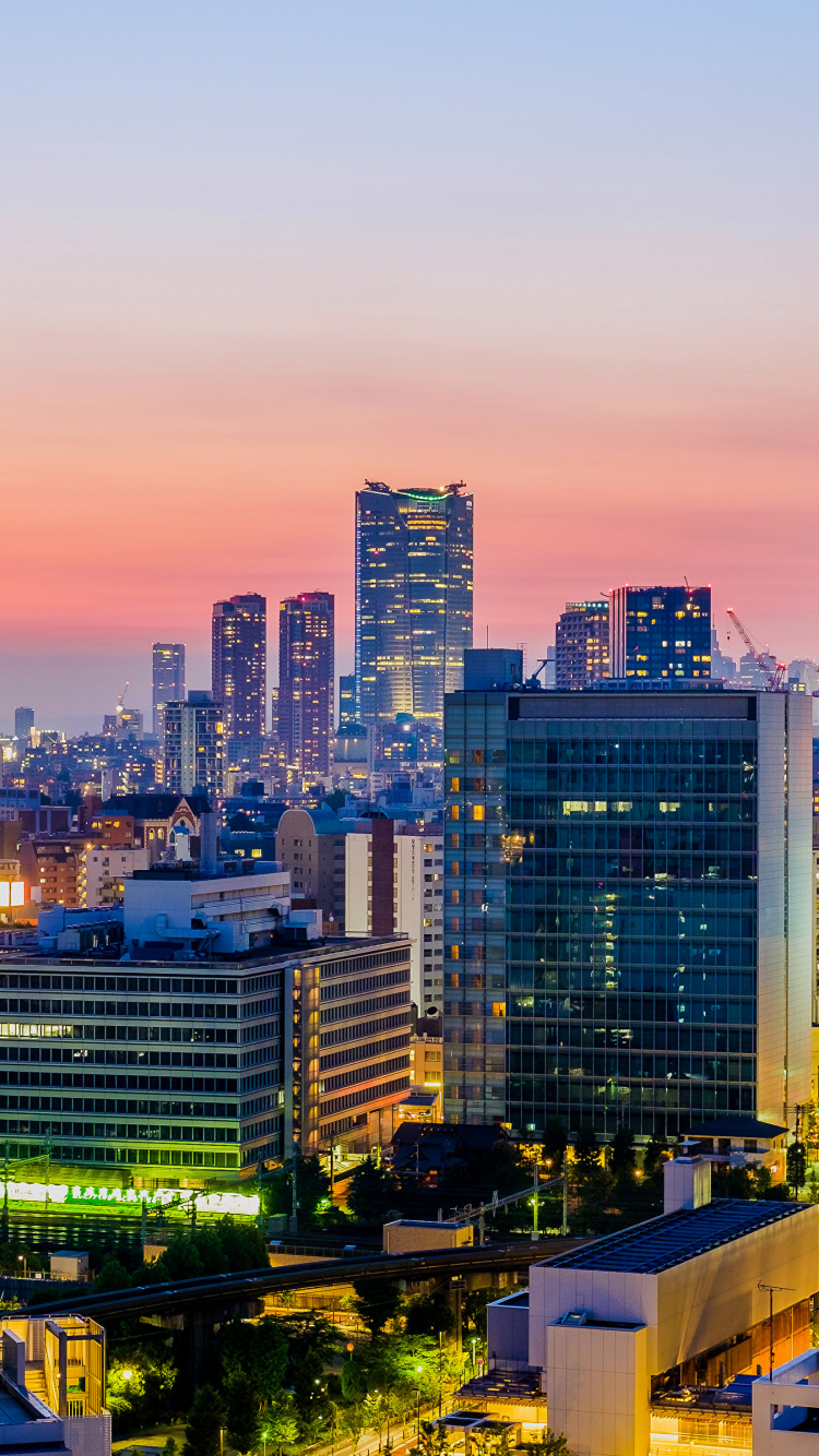 Обои Токио, город, городской пейзаж, городской район, метрополия в разрешении 750x1334