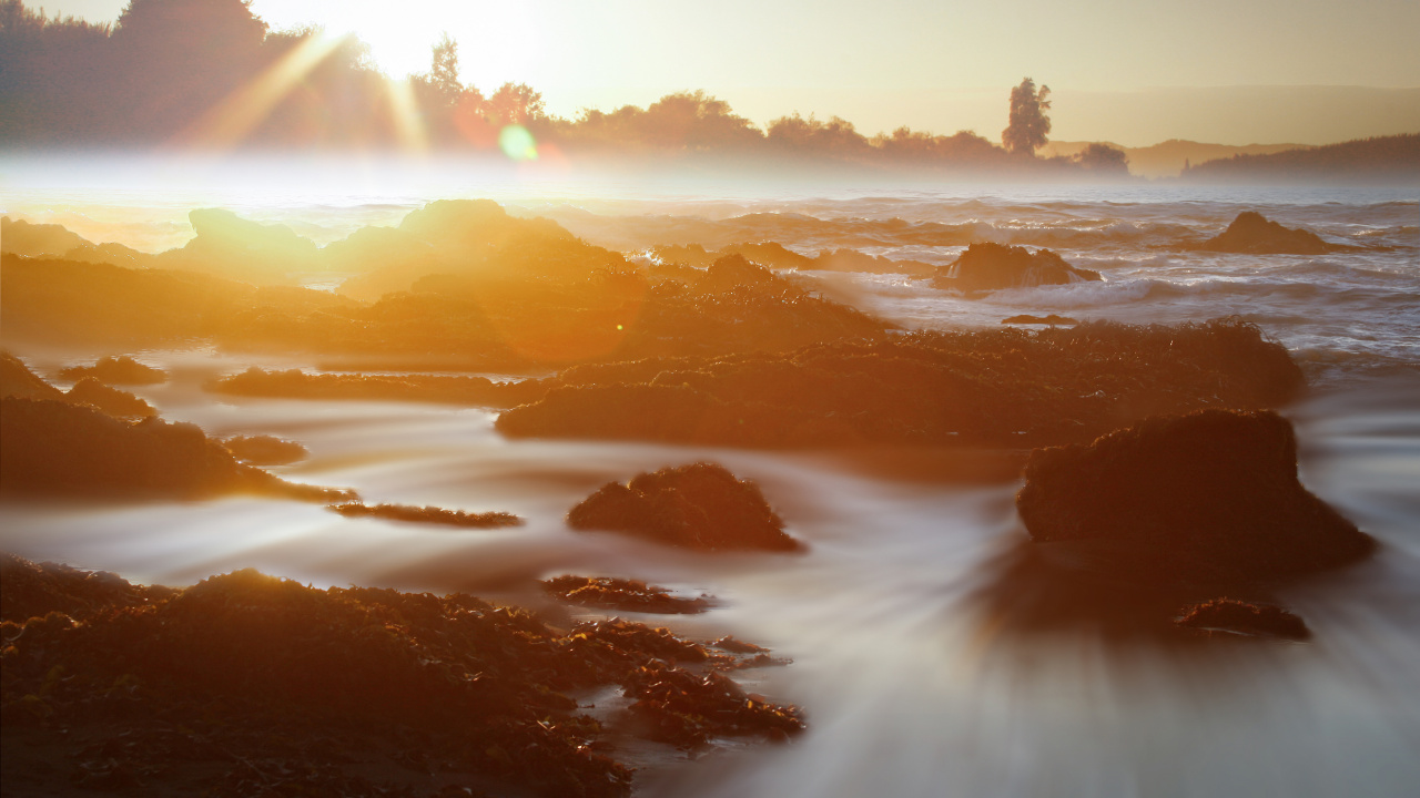 Обои Прогулка по городу, Вспомнить прошлое, Встретить Рассвет, Фред Hyas, море в разрешении 1280x720