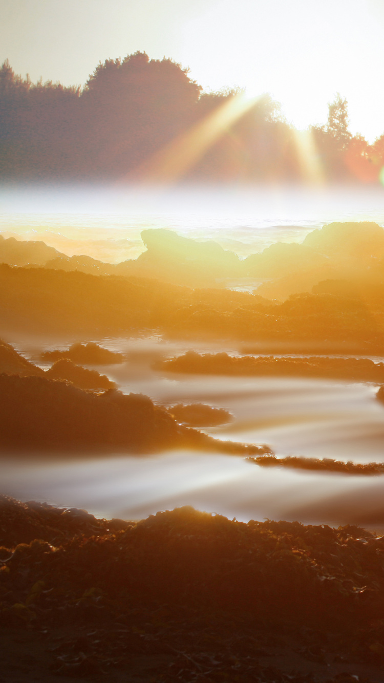 Обои Прогулка по городу, Вспомнить прошлое, Встретить Рассвет, Фред Hyas, море в разрешении 750x1334