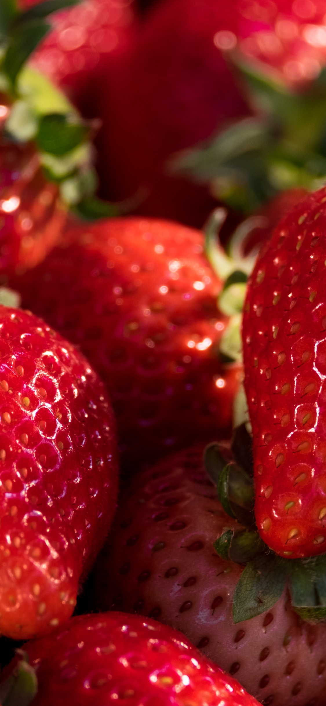 Обои клубника, Фестиваль клубники в Западной Вирджинии, Флоридский клубничный фестиваль, ягоды, смузи в разрешении 1125x2436