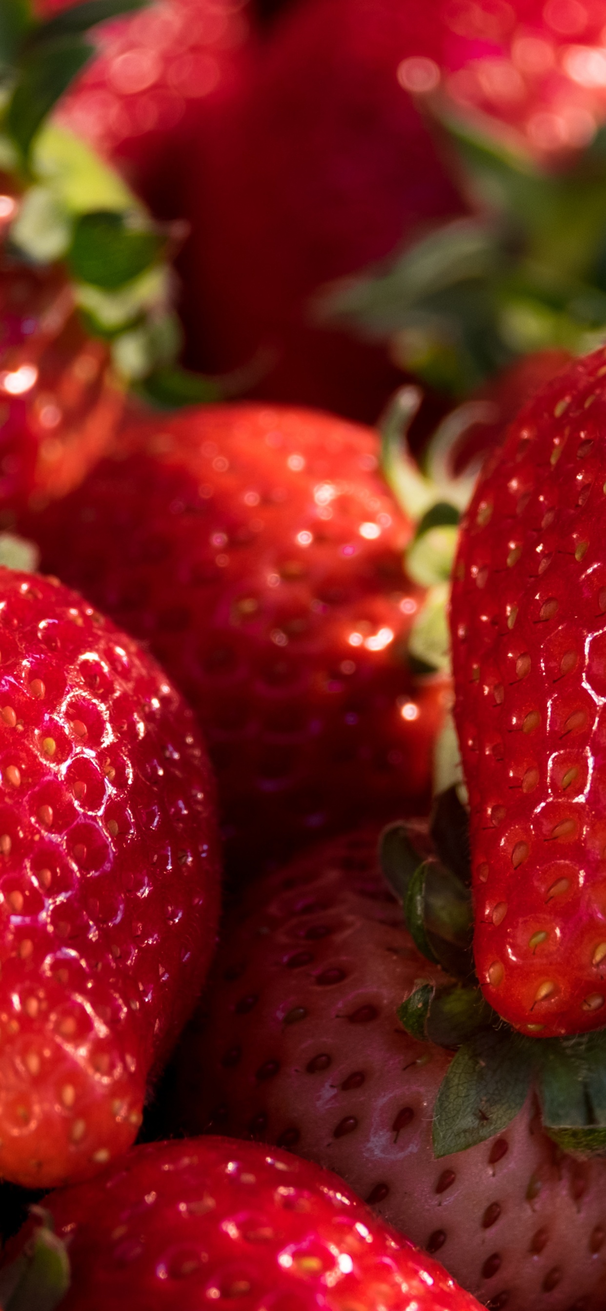 Обои клубника, Фестиваль клубники в Западной Вирджинии, Флоридский клубничный фестиваль, ягоды, смузи в разрешении 1242x2688