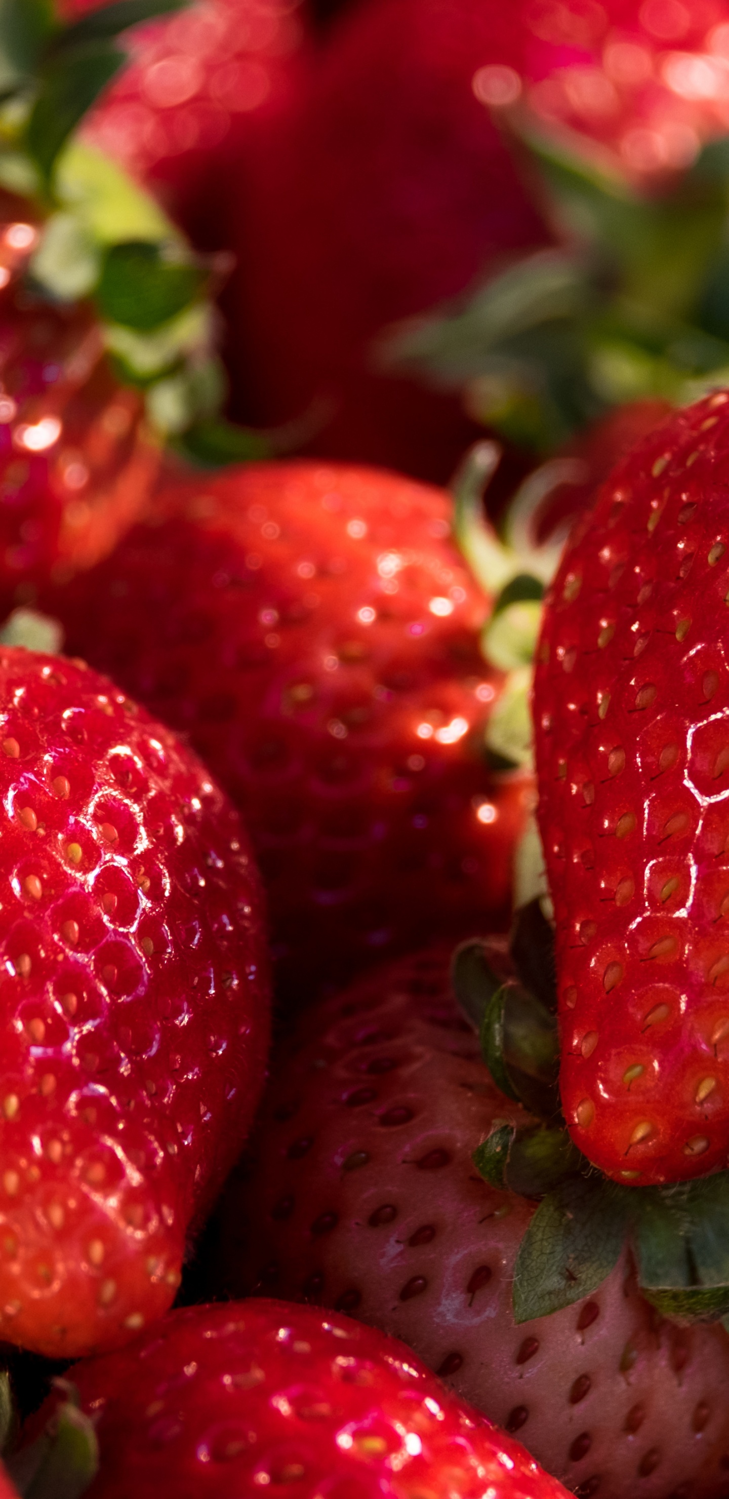 Обои клубника, Фестиваль клубники в Западной Вирджинии, Флоридский клубничный фестиваль, ягоды, смузи в разрешении 1440x2960