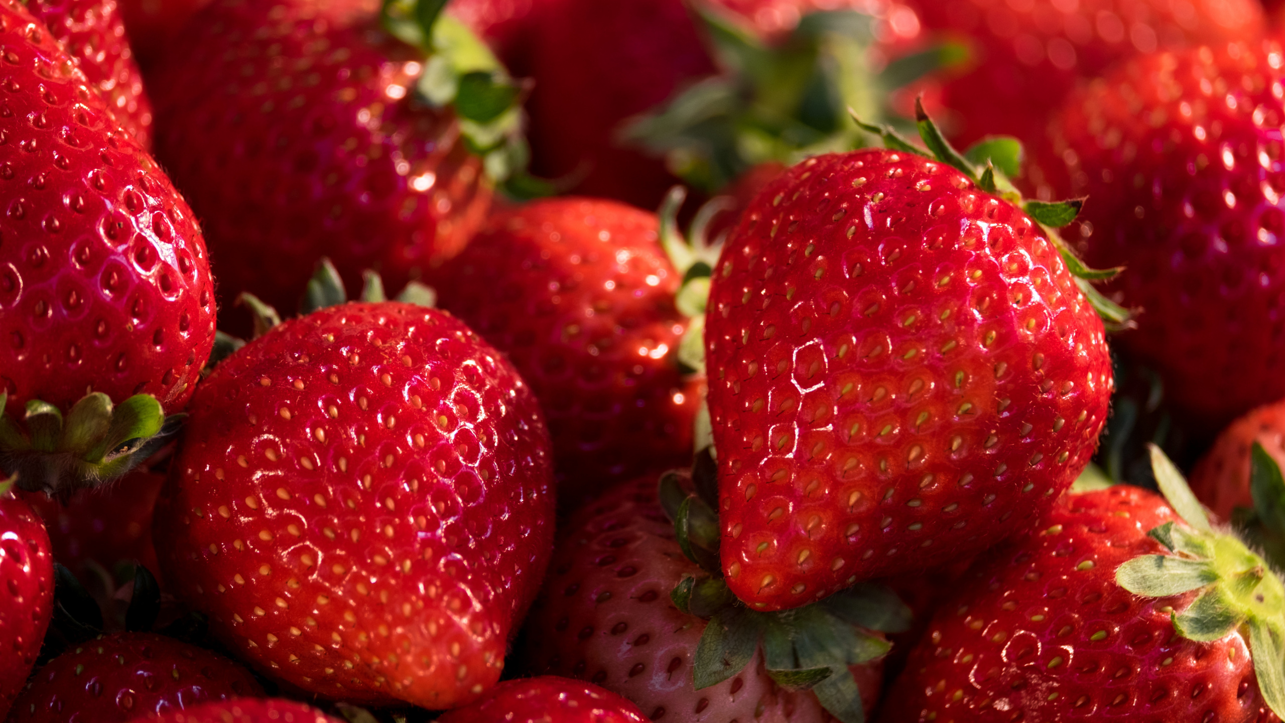 Обои клубника, Фестиваль клубники в Западной Вирджинии, Флоридский клубничный фестиваль, ягоды, смузи в разрешении 2560x1440