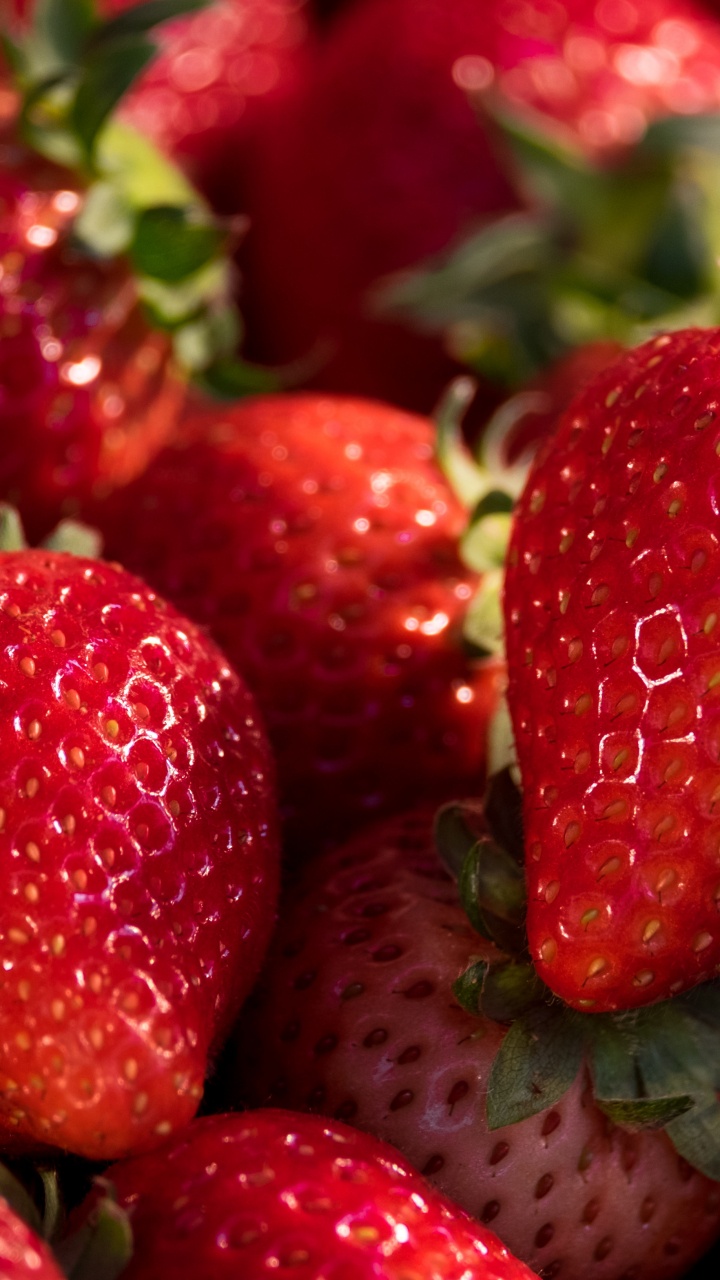 Обои клубника, Фестиваль клубники в Западной Вирджинии, Флоридский клубничный фестиваль, ягоды, смузи в разрешении 720x1280