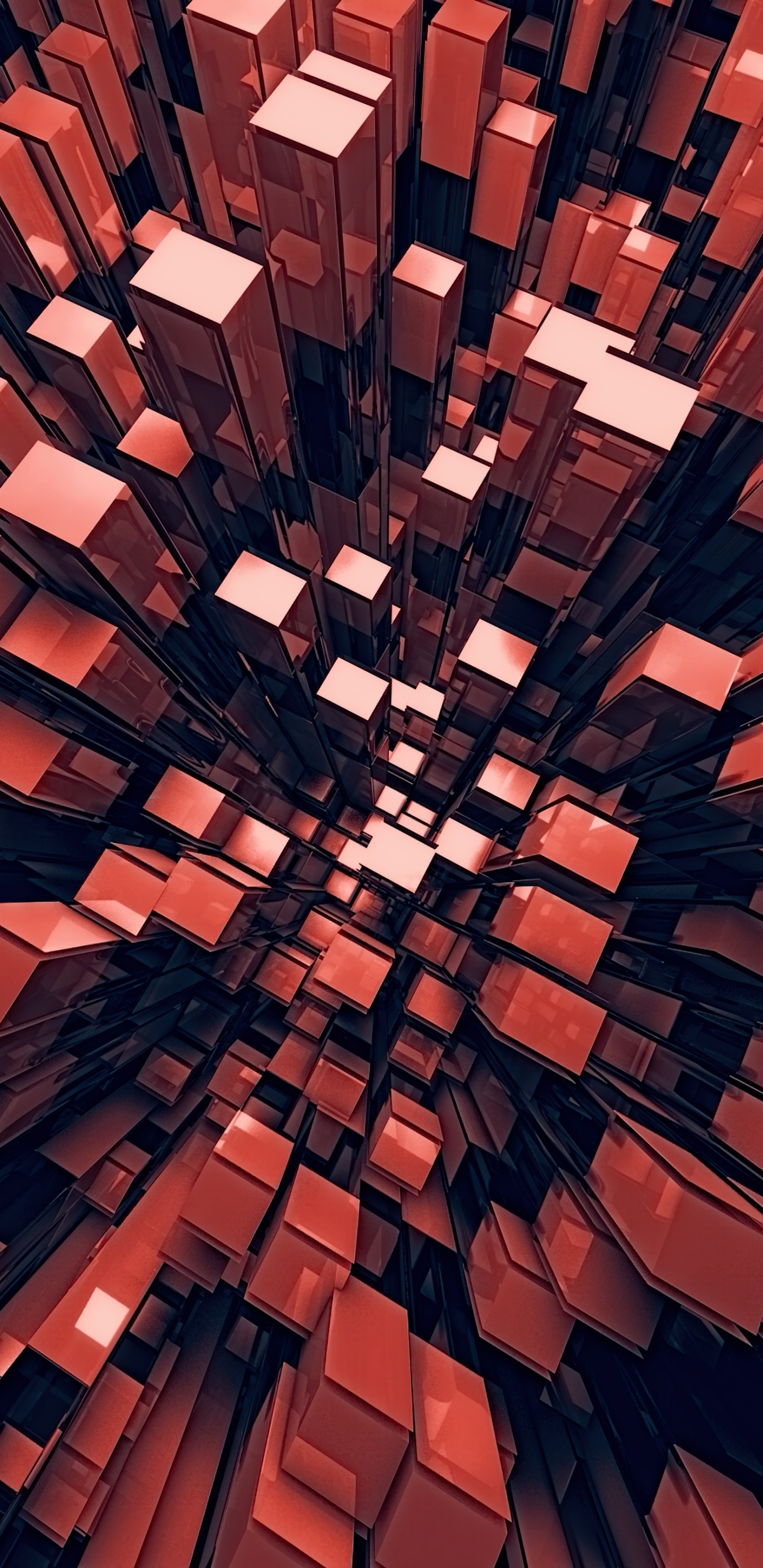 Обои Апельсин, красный цвет, линия, симметрия, узор в разрешении 1440x2960