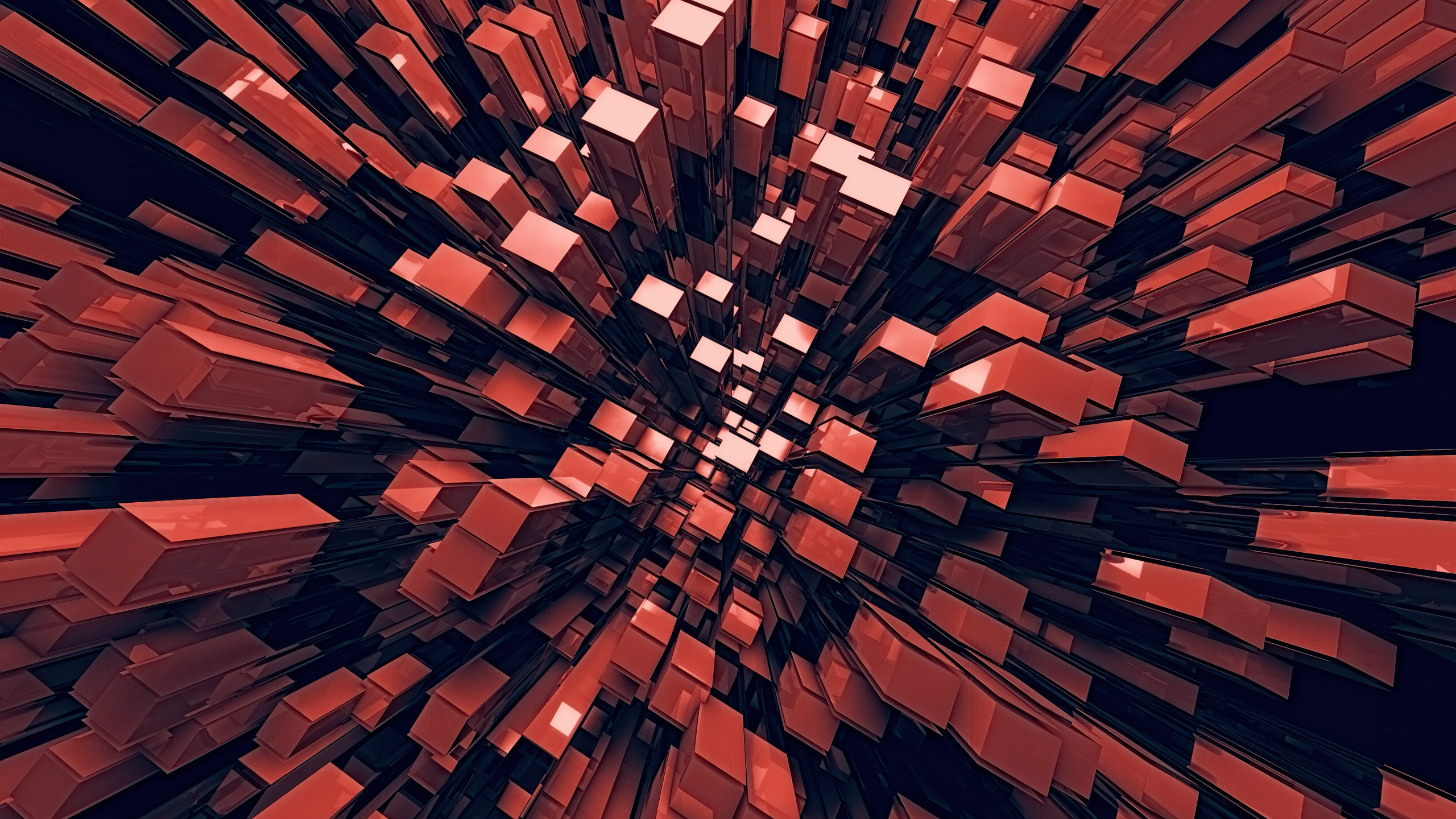 Обои Апельсин, красный цвет, линия, симметрия, узор в разрешении 2560x1440