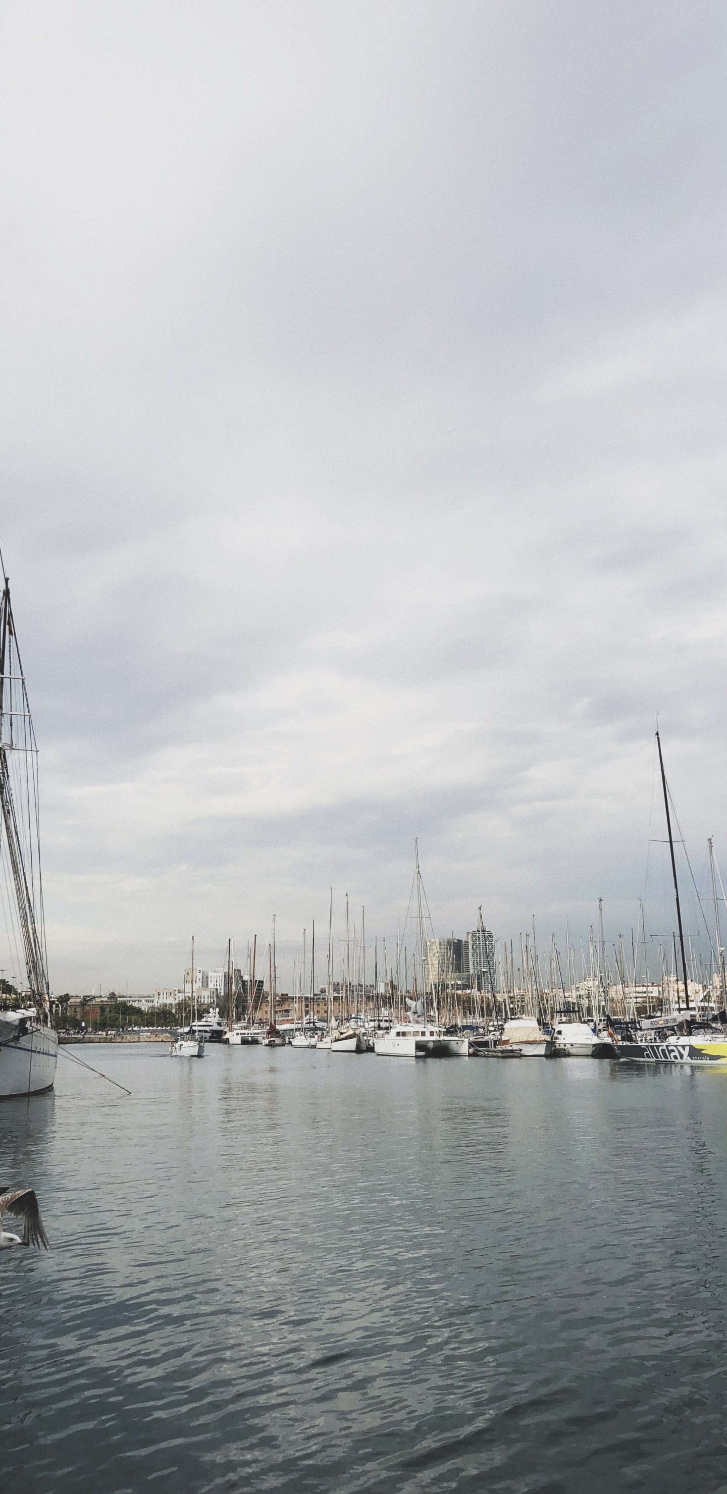 Обои Марина, вода, лодка, мореплавание, мачта в разрешении 1440x2960