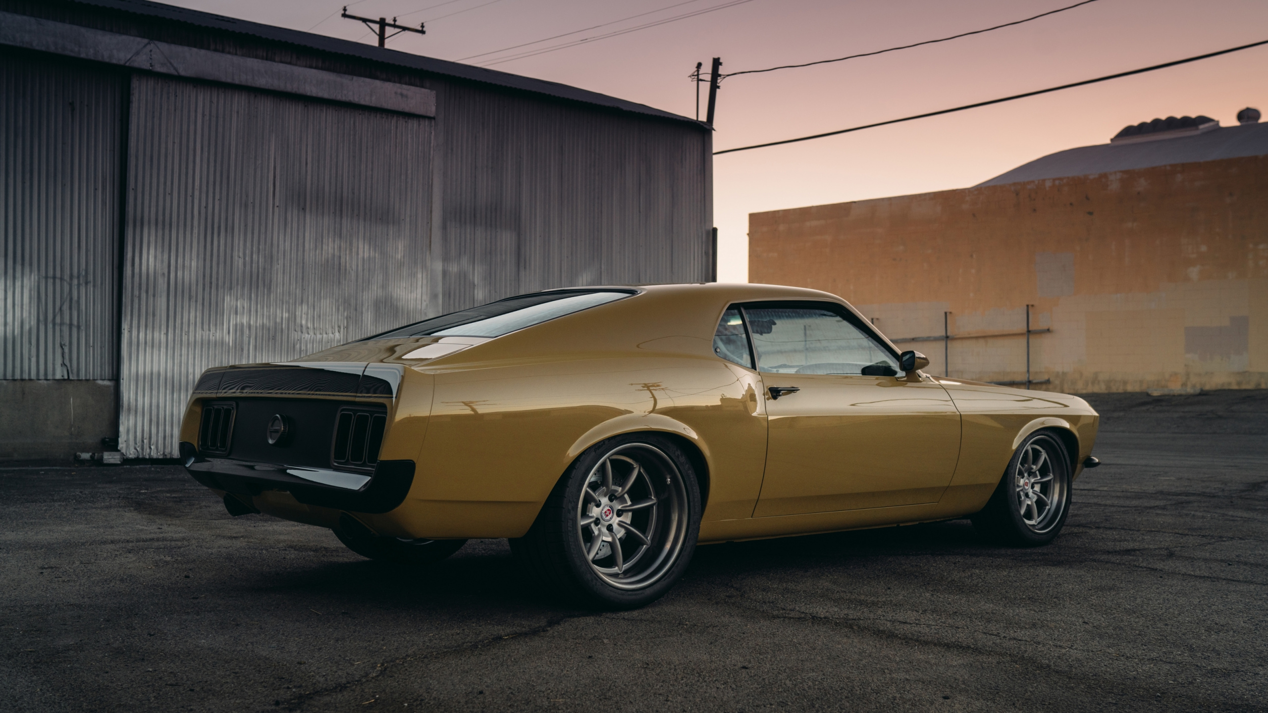 Обои speedkore rdj босс 302, босс 429, Мустанг босс 302, Король, мускул кар в разрешении 2560x1440